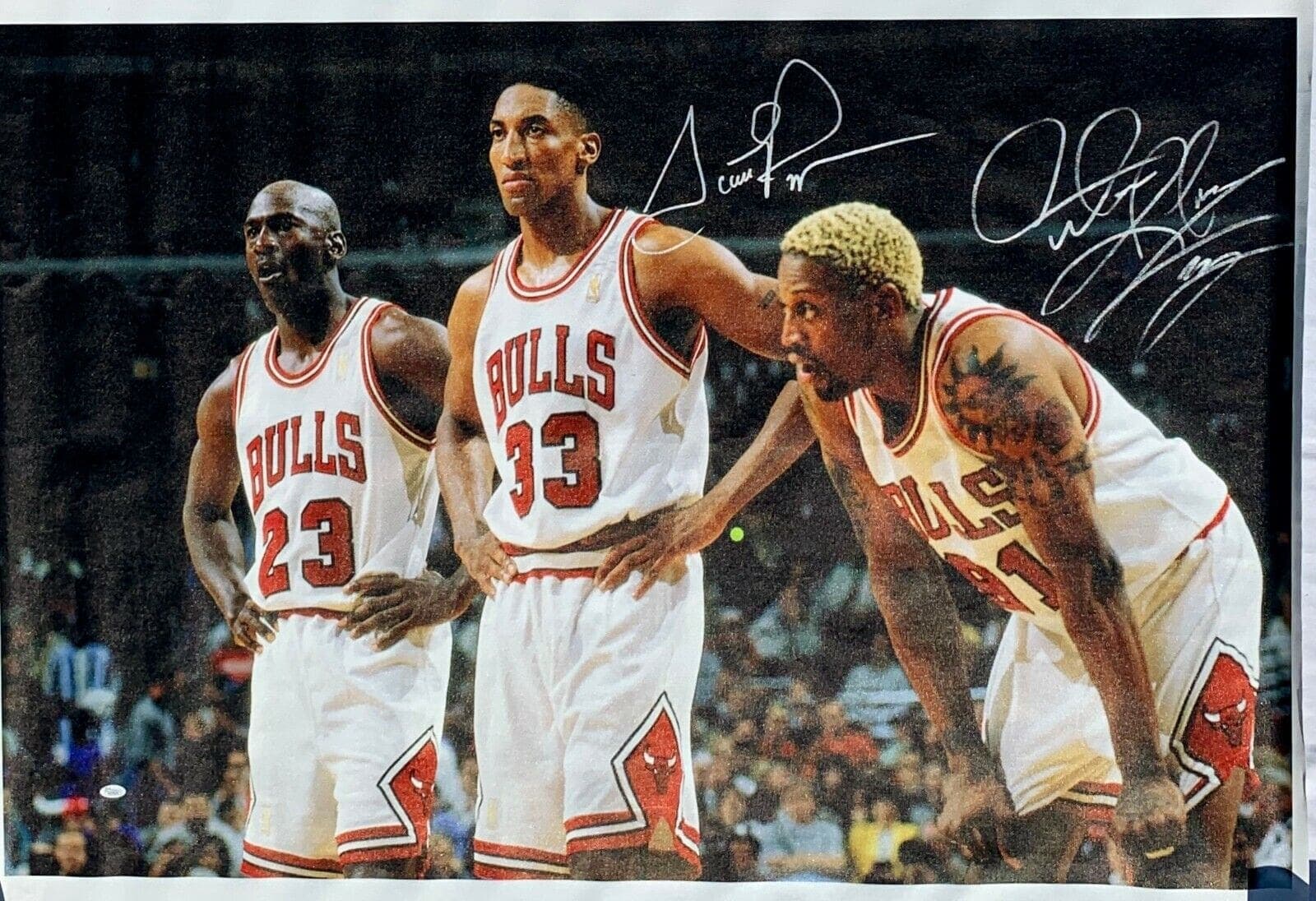 Scottie Pippen & Dennis Rodman Signed Autographed HUGE 42×50 Canvas JSA W275474 Scottie Pippen Canvas 42x50-dennis-rodman-huge-42-50-w275474, Chicago Bulls, supplier stock photo