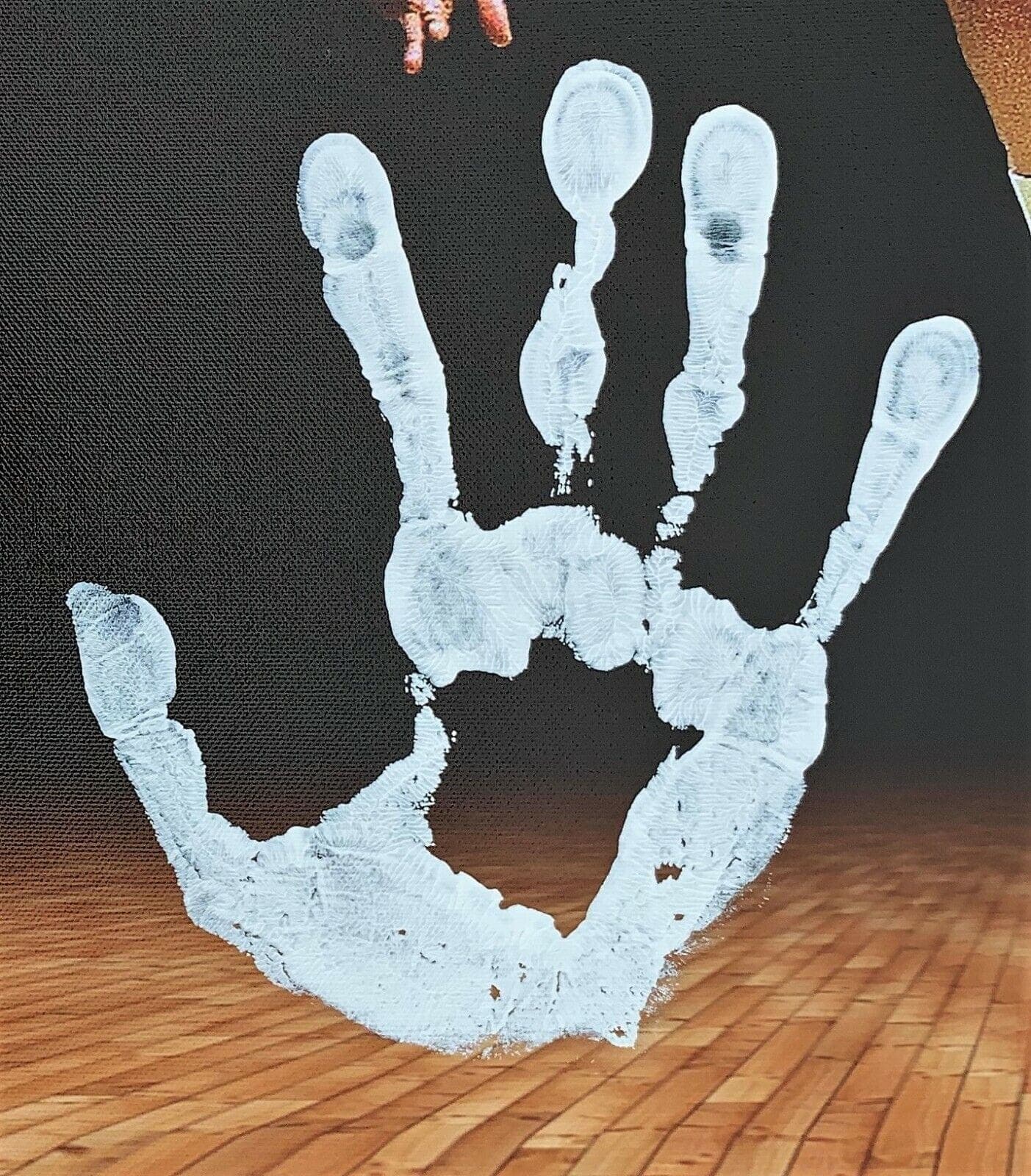 Julius Dr. J Erving Handprint Unstretched 20×36 Canvas Signed JSA Z65913 Julius Erving Canvas 20x36-dr-handprint-unstretched-20-36-z65913, Philadelphia 76ers, view 3, supplier stock photo
