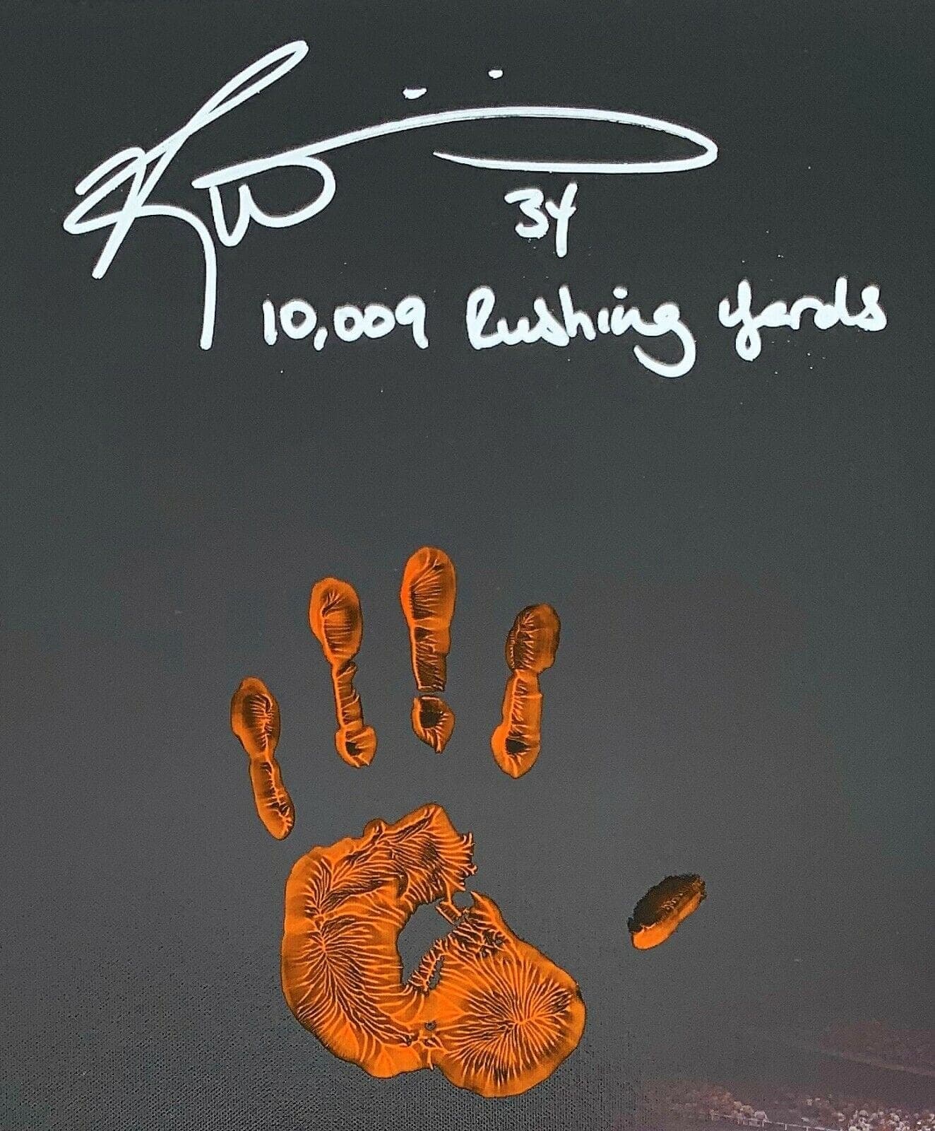 Ricky Williams Handprint Ustretched 20×36 Canvas Dolphins Signed JSA Z65934 Ricky Williams Canvas 20x36-handprint-ustretched-20-36-z65934, Miami Dolphins, view 2, supplier stock photo