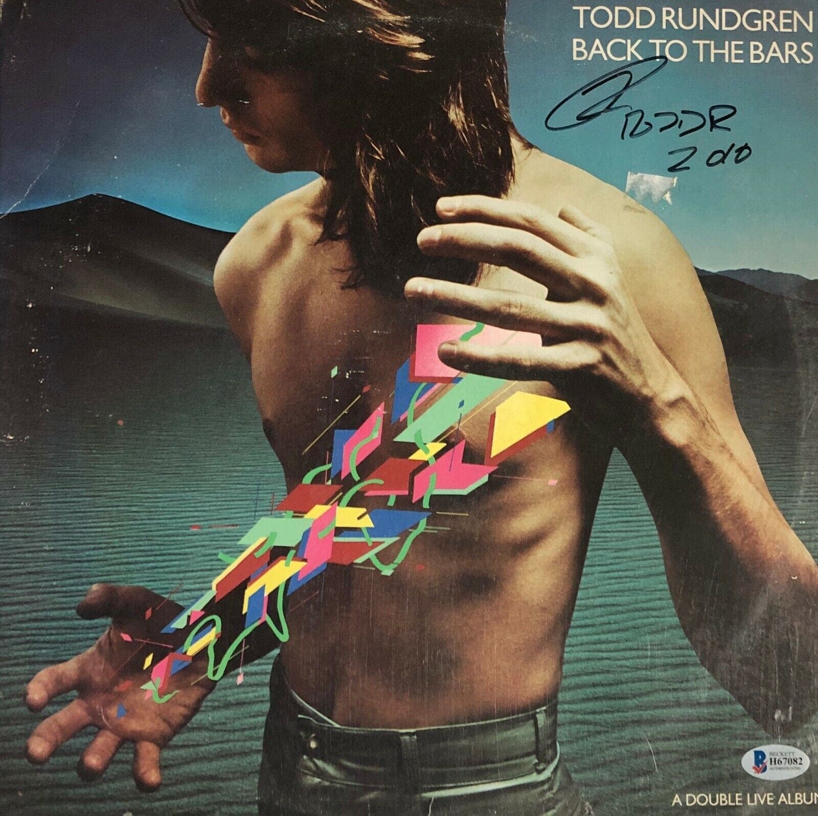 Todd Rundgren Signed Autographed Vinyl Record Beckett Back to the Bars Todd Rundgren Other todd-rundgren-vinyl-record-back-bars, supplier stock photo