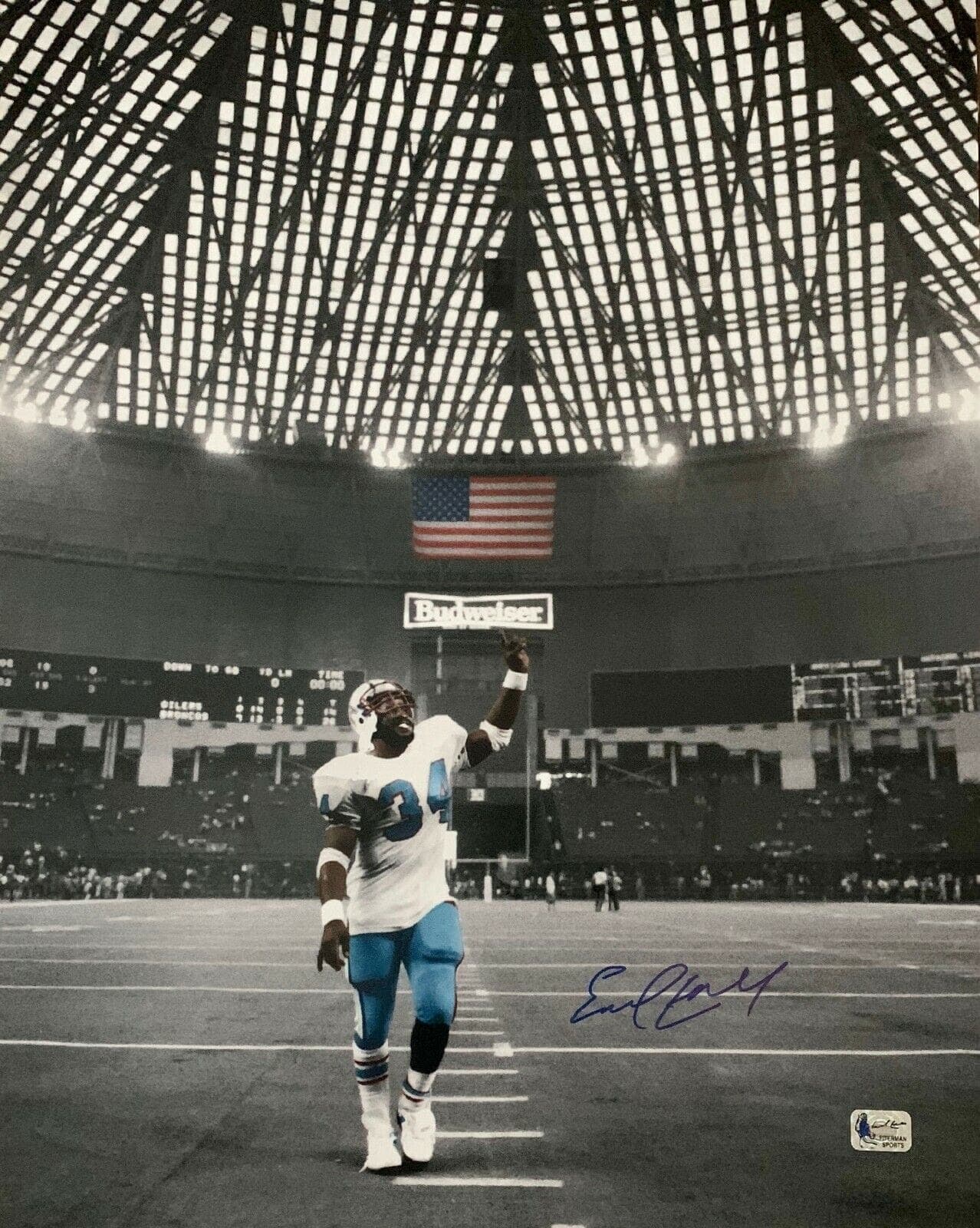 Earl Campbell Photo 16x20-earl-campbell-houston-oilers-16-20, Houston Oilers, supplier stock photo