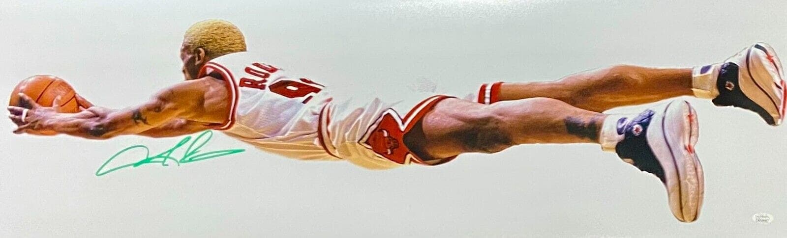 Dennis Rodman Signed Autographed 36×12 Panoramic Photo JSA Chicago Bulls Green Dennis Rodman Photo 36x12-36-12-panoramic-green, Chicago Bulls, supplier stock photo
