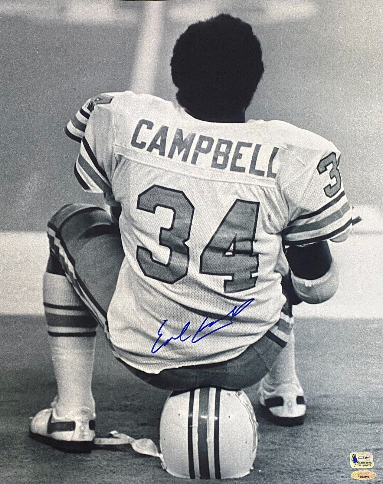 Earl Campbell Signed Autographed 16×20 Photo TriStar Authentication 4 Oilers Earl Campbell Photo 16x20-earl-campbell-16-20-tristar-4, Houston Oilers, supplier stock photo