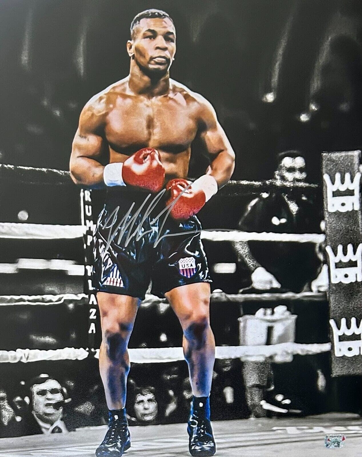 Mike Tyson Autographed Signed 16×20 Photo Tyson Exclusive Hologram Edit Mike Tyson Photo 16x20-16-20-hologram-edit, supplier stock photo