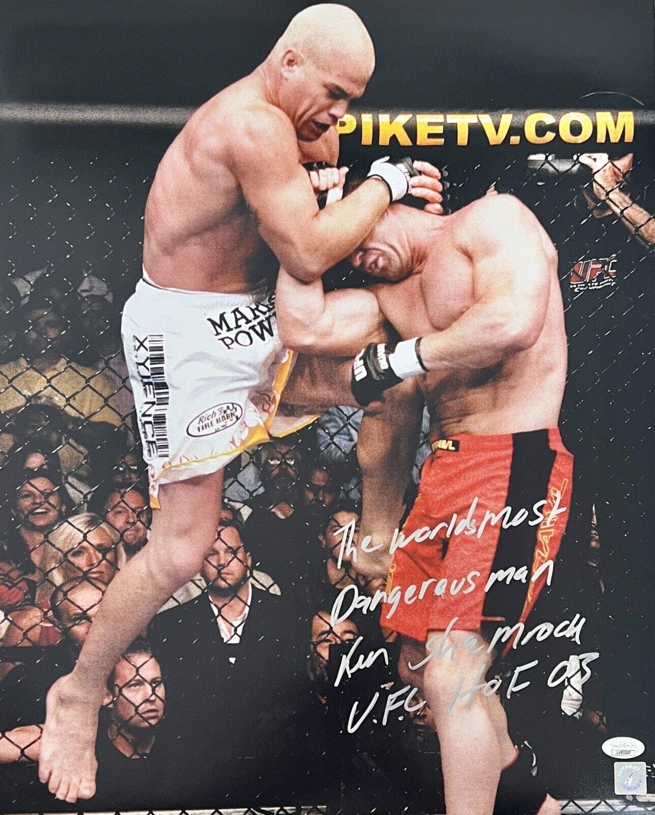 Photo 16x20-ken-shamrock-16-20-authen-2, supplier stock photo