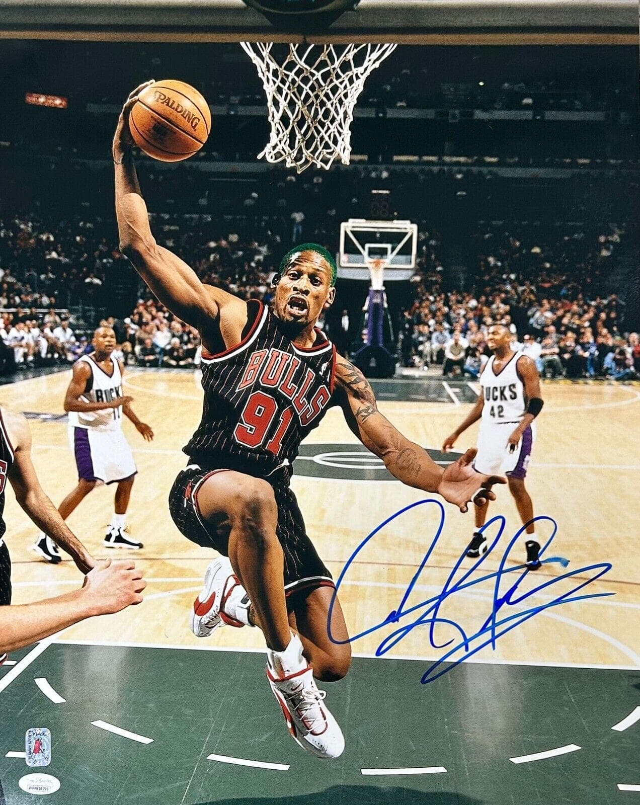 Dennis Rodman Signed Autographed 16×20 Photo JSA Authentic Chicago Bulls 7 Dennis Rodman Photo 16x20-dennis-rodman-16-20-7, Chicago Bulls, supplier stock photo