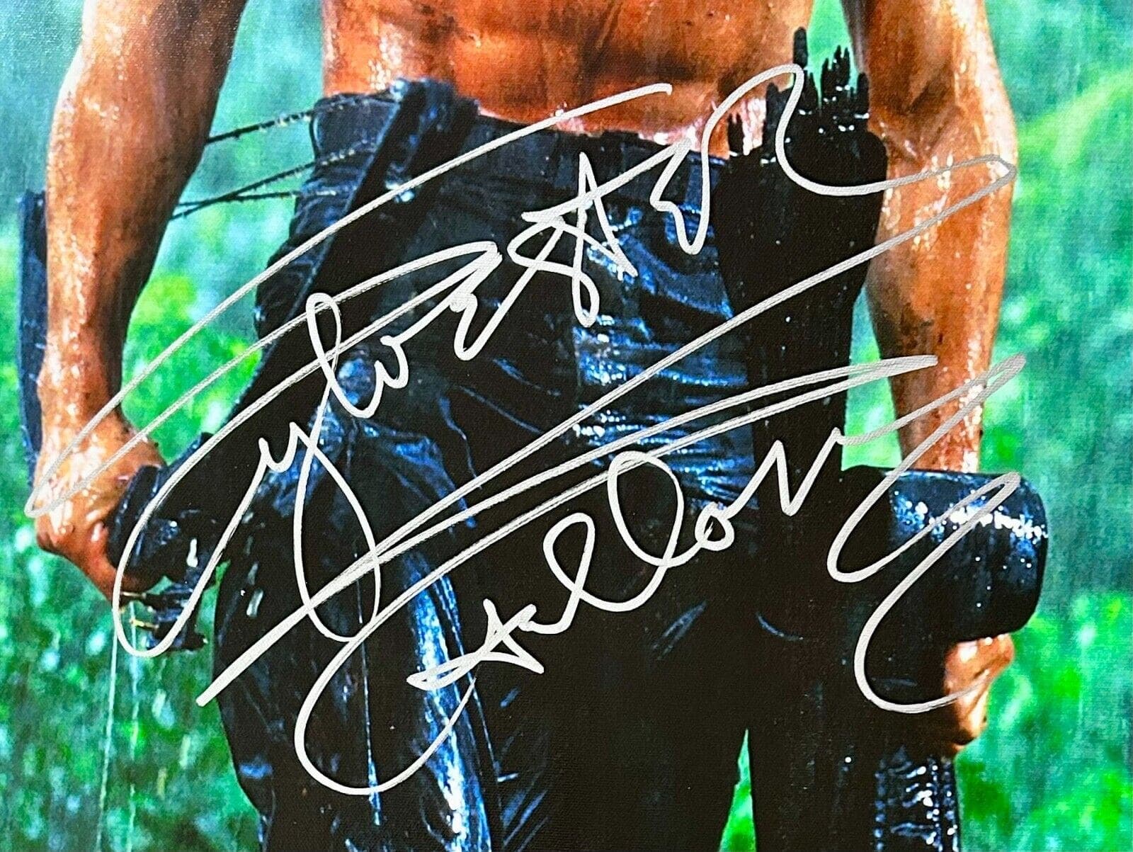 Sylvester Stallone Signed Rambo Unstretched Canvas 24×36 Beckett Authen A Sylvester Stallone Canvas 24x36-sylvester-stallone-rambo-unstretched-24-36, view 2, supplier stock photo