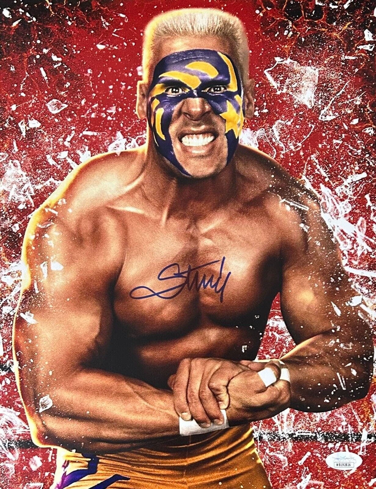 STING Signed Autographed 11×14 Photo JSA Authenticated #1 WCW WWE AEW Photo 11x14-sting-11-14-1-wcw-wwe, supplier stock photo