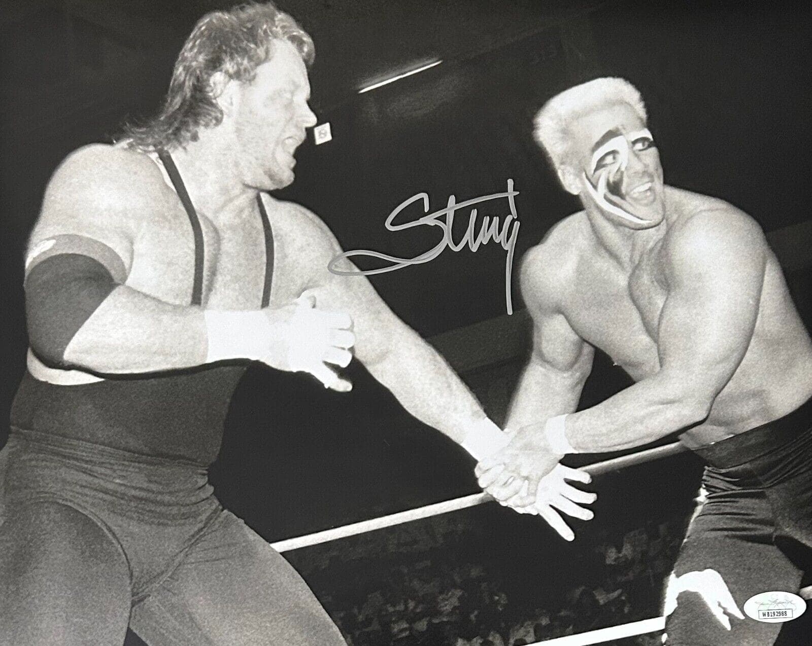 STING Signed Autographed 11×14 Photo JSA Authenticated #2 WCW WWE AEW Photo 11x14-sting-11-14-2-wcw-wwe, supplier stock photo