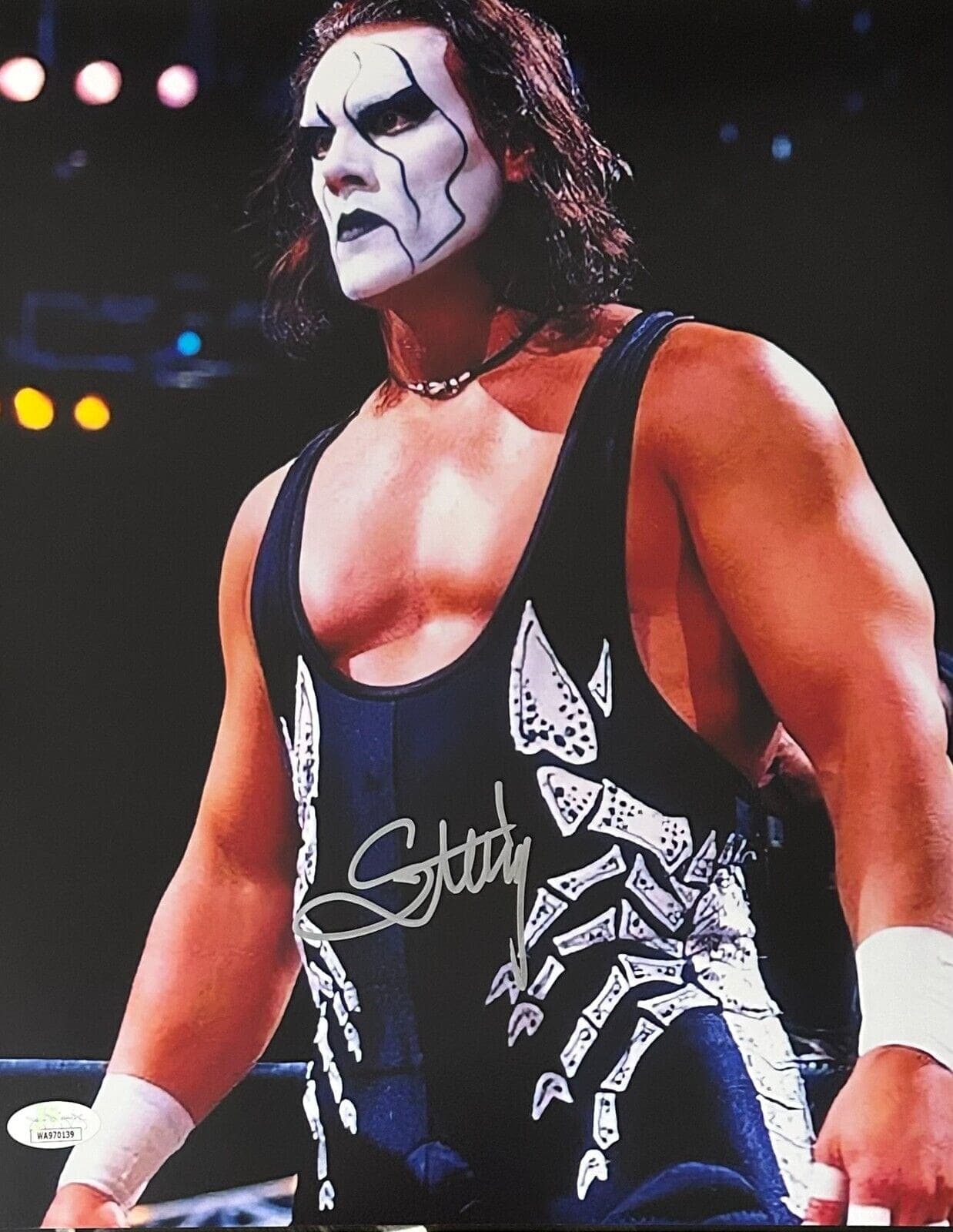 STING Signed Autographed 11×14 Photo JSA Authenticated #3 WCW WWE AEW Photo 11x14-sting-11-14-3-wcw-wwe, supplier stock photo