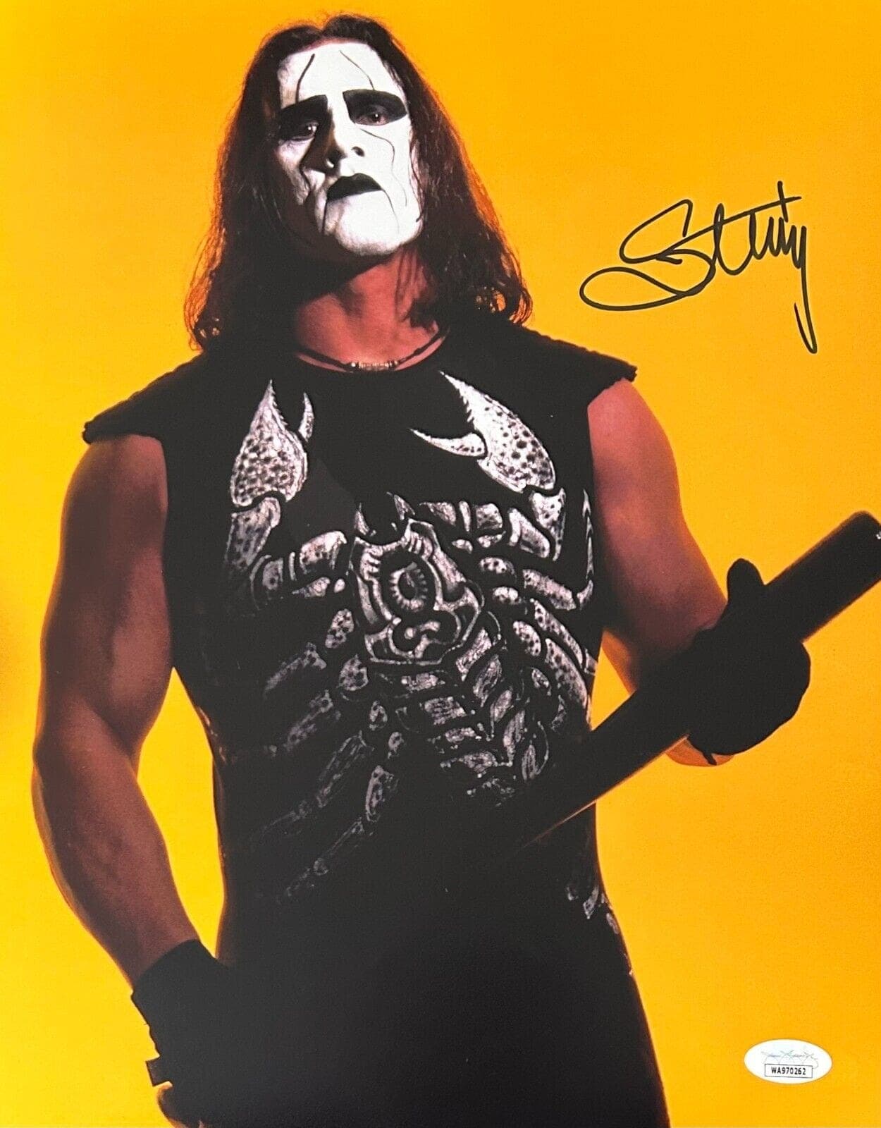 STING Signed Autographed 11×14 Photo JSA Authenticated #7 WCW WWE AEW Photo 11x14-sting-11-14-7-wcw-wwe, supplier stock photo