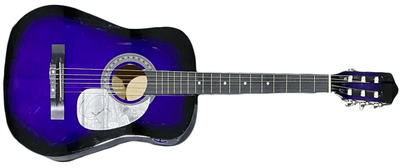 Taylor Swift Signed Autographed Purple Acoustic Guitar JSA Authen Folklore Other taylor-swift-purple-acoustic-guitar-authen, supplier stock photo