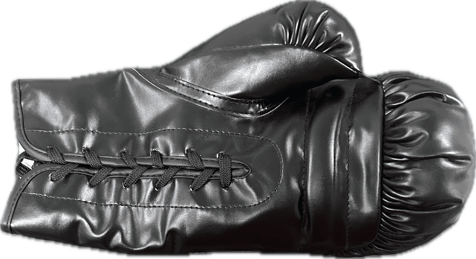 Mike Tyson Signed Autographed Black Boxing Glove JSA & Mike Tyson Holo Authen L Mike Tyson Glove mike-tyson-black-boxing-holo-authen, view 3, supplier stock photo