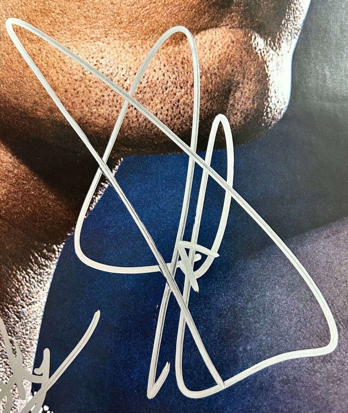 Brock Lesnar & John Cena Signed SummerSlam 40X27 Poster JSA Authenticated Brock Lesnar Other 40x27-john-cena-summerslam-poster, view 4, supplier stock photo