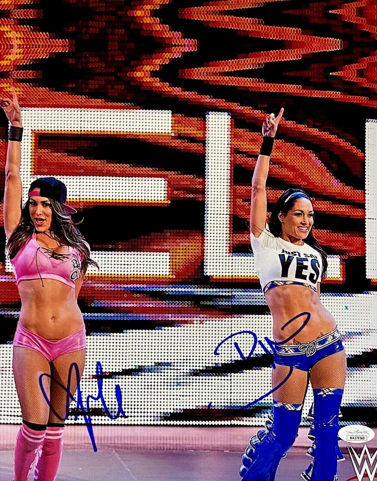 The Bella Twins Brie & Nikki Signed 11×14 Photo JSA Authenticated #6 The Bella Twins Photo 11x14-bella-twins-brie-nikki-11-14, supplier stock photo