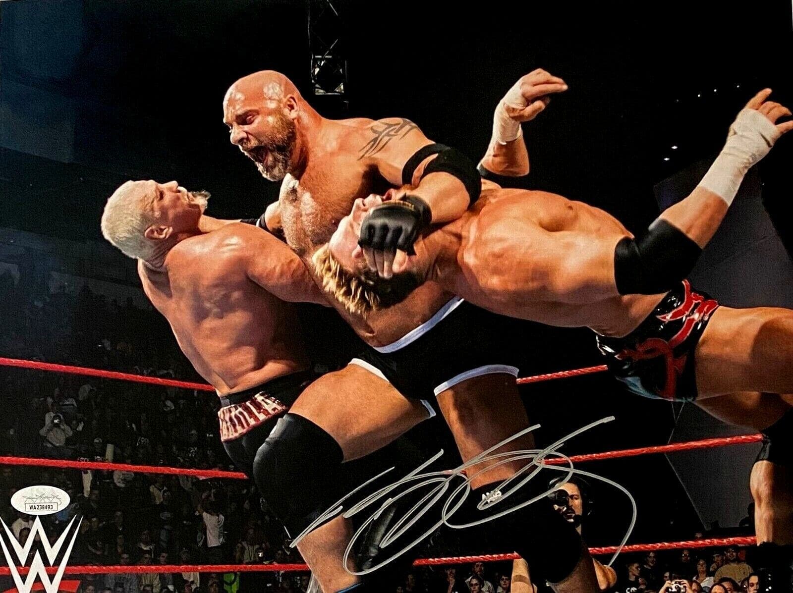 Bill Goldberg Signed Autographed 11×14 Photo JSA Authenticated #10 Silver Bill Goldberg Photo 11x14-bill-goldberg-11-14-10-silver, supplier stock photo