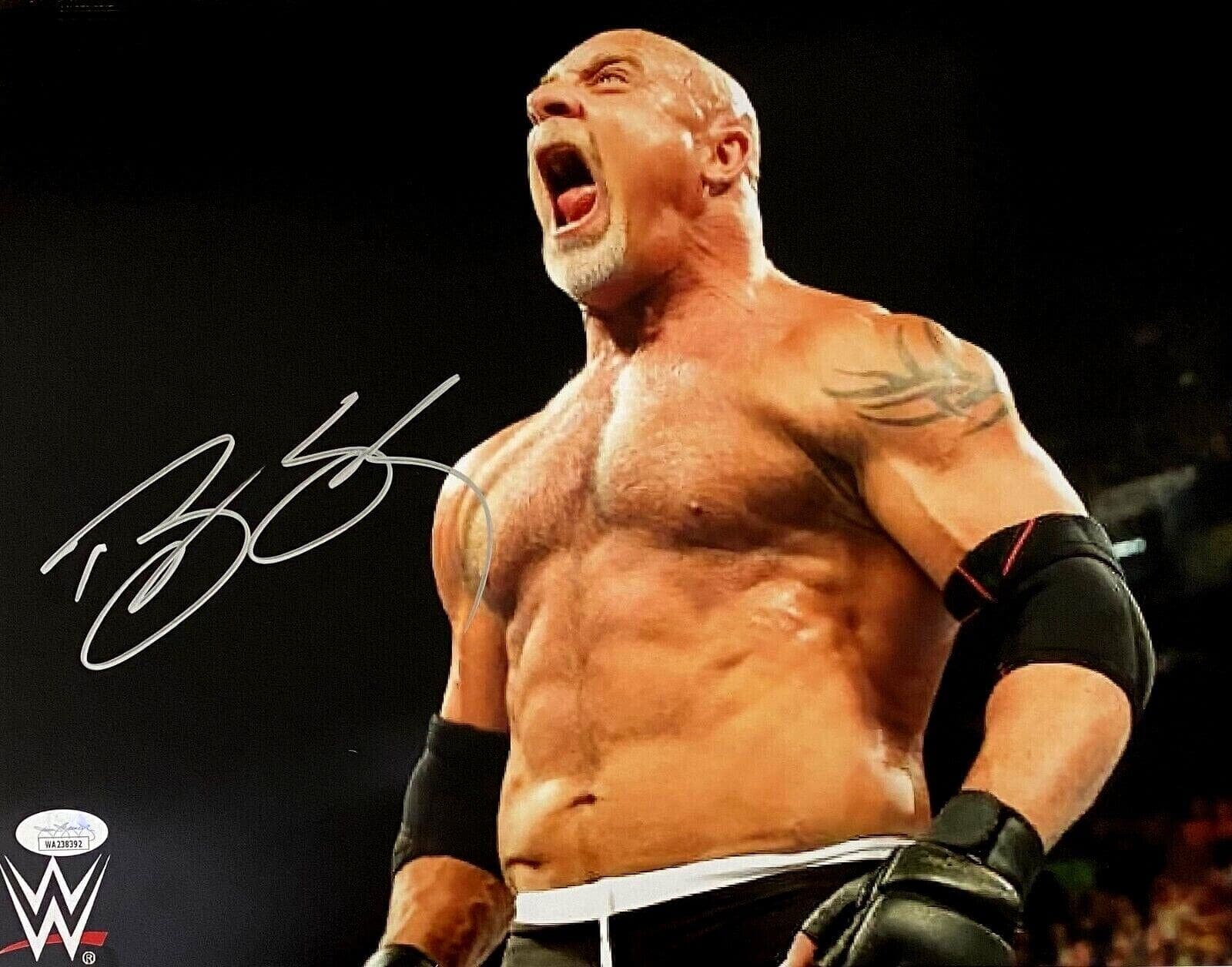Bill Goldberg Signed Autographed 11×14 Photo JSA Authenticated #3 Bill Goldberg Photo 11x14-bill-goldberg-11-14-3, supplier stock photo