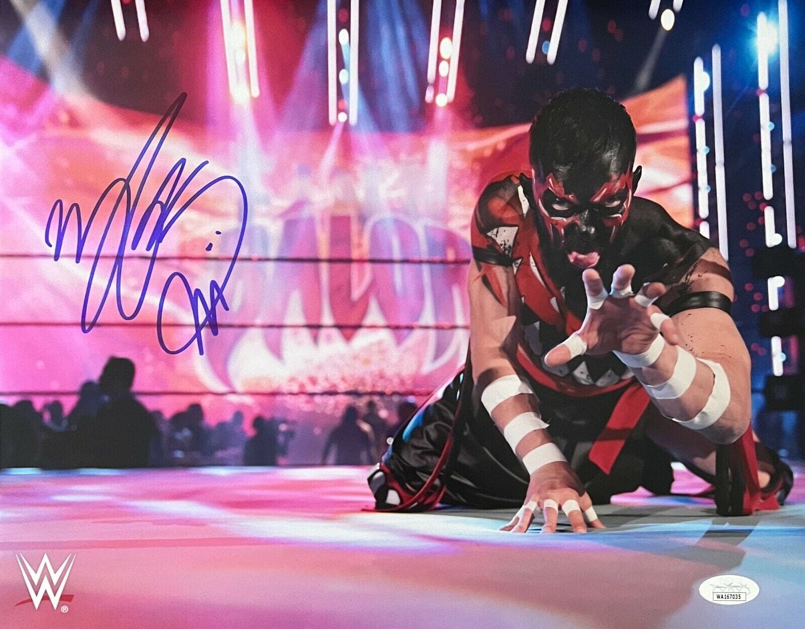 Finn Balor Signed Autographed 11×14 Photo JSA Authenticated #3 Photo 11x14-finn-balor-11-14-3, supplier stock photo