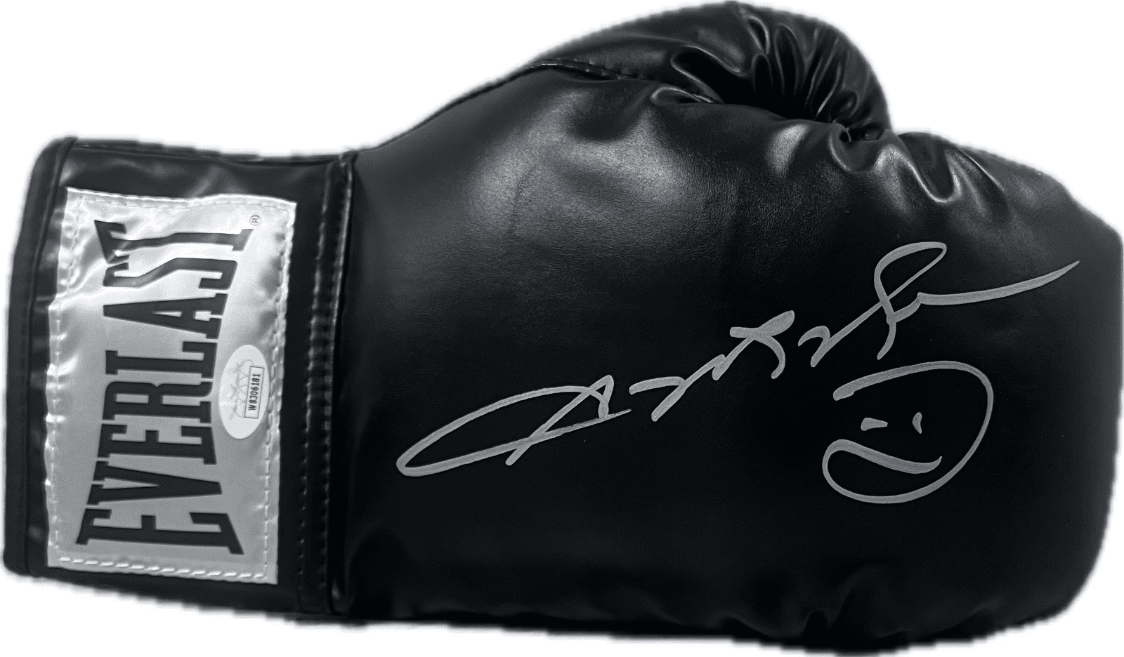 Sugar Ray Leonard Glove sugar-ray-leonard-black-right-boxing, supplier stock photo