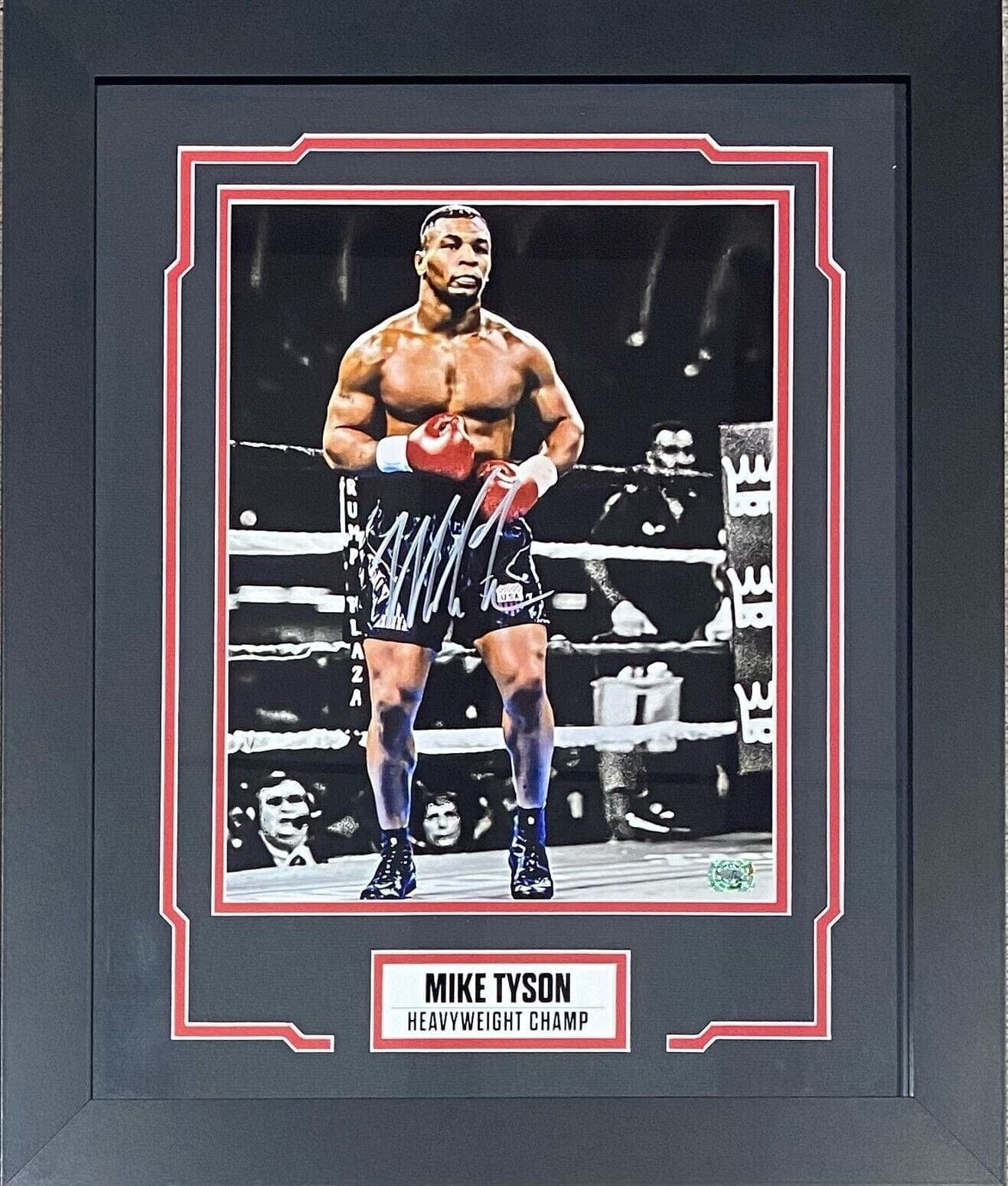 Mike Tyson Signed 11×14 Framed Photo Tyson Exclusive Hologram Edit Mike Tyson Photo 11x14-mike-tyson-11-14-framed-hologram, supplier stock photo