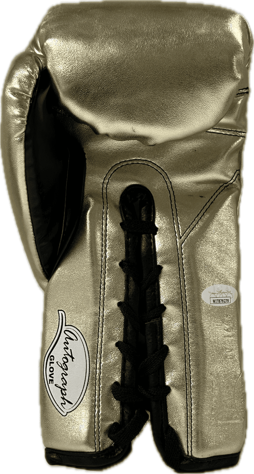 Floyd Mayweather Jr Signed Gold Cleto Reyes Boxing Glove JSA Right w/ $ signs Floyd Mayweather Jr. Glove gold-cleto-reyes-boxing-right-signs, view 2, supplier stock photo