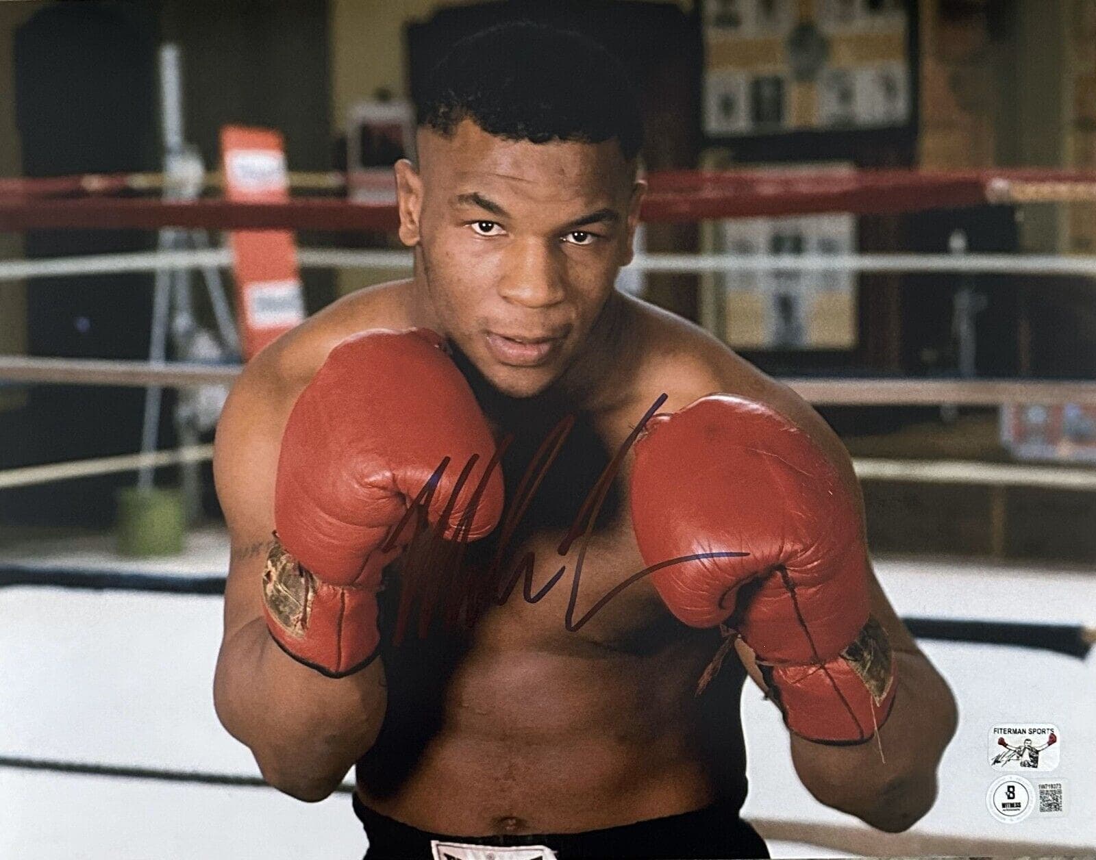 Photo 11x14-mike-tyson-11-14-hologram-kid, supplier stock photo