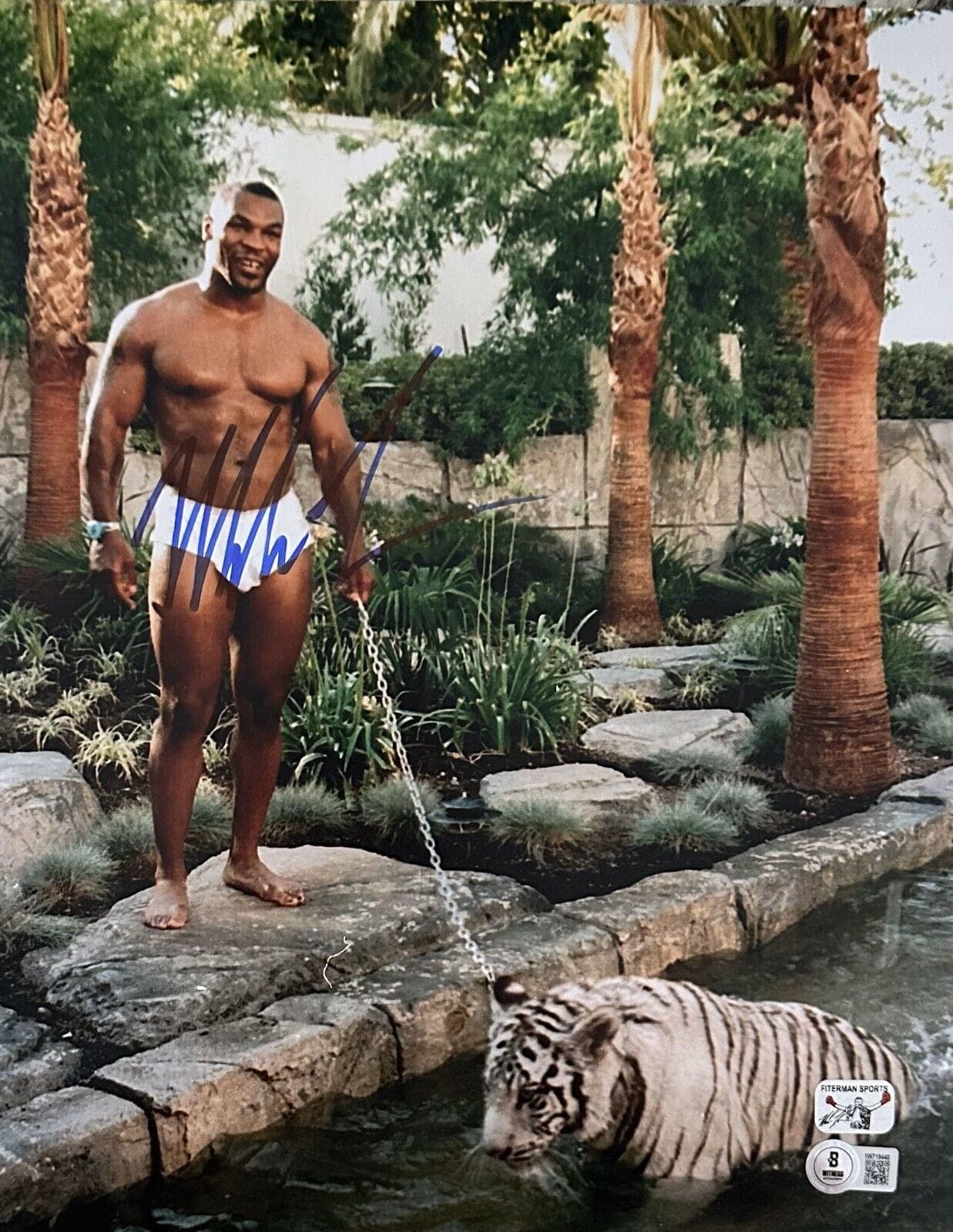 Mike Tyson Signed Autographed Photo 11×14 Beckett & Tyson Hologram Authen Tiger1 Photo 11x14-mike-tyson-11-14-hologram-authen, supplier stock photo