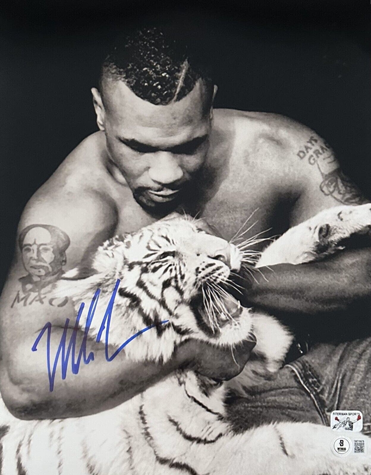 Mike Tyson Signed Autographed Photo 11×14 Beckett & Tyson Hologram Authen Tiger2 Mike Tyson Photo 11x14-mike-tyson-11-14-hologram-authen, supplier stock photo