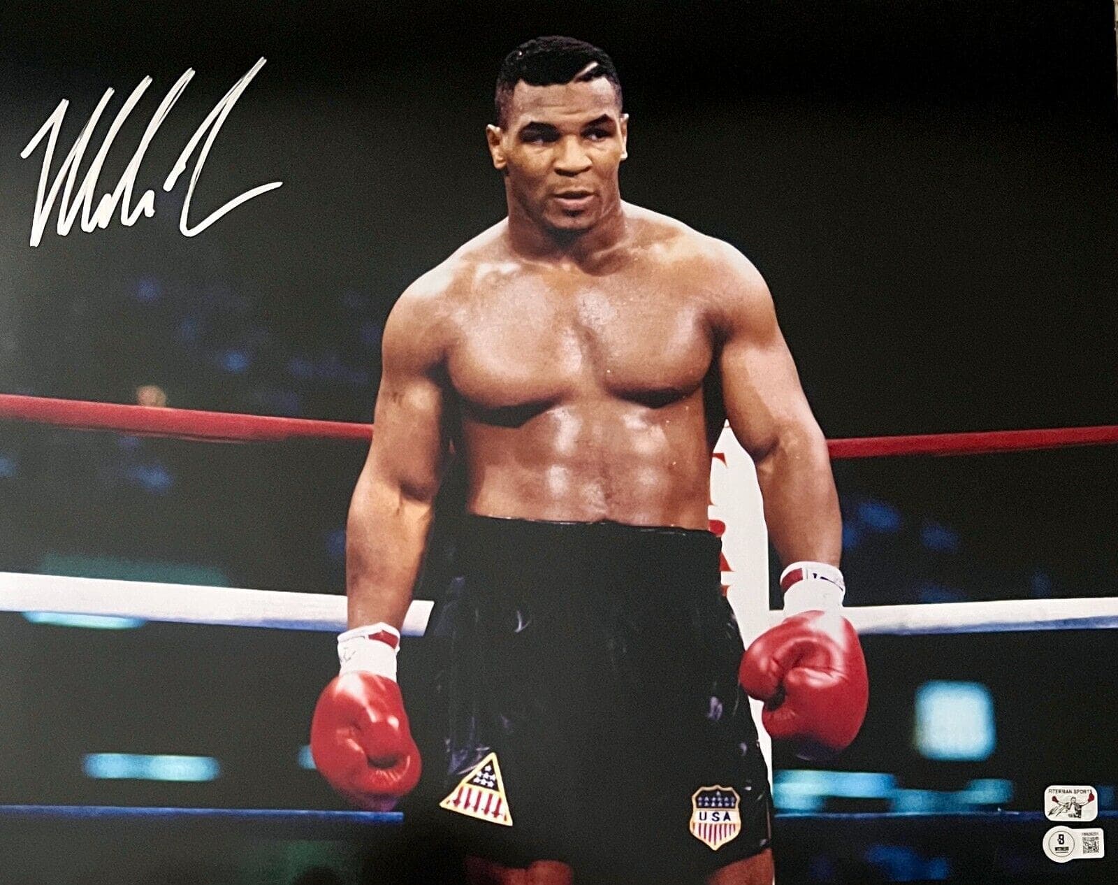 Photo 16x20-mike-tyson-16-20-hologram-authen, supplier stock photo