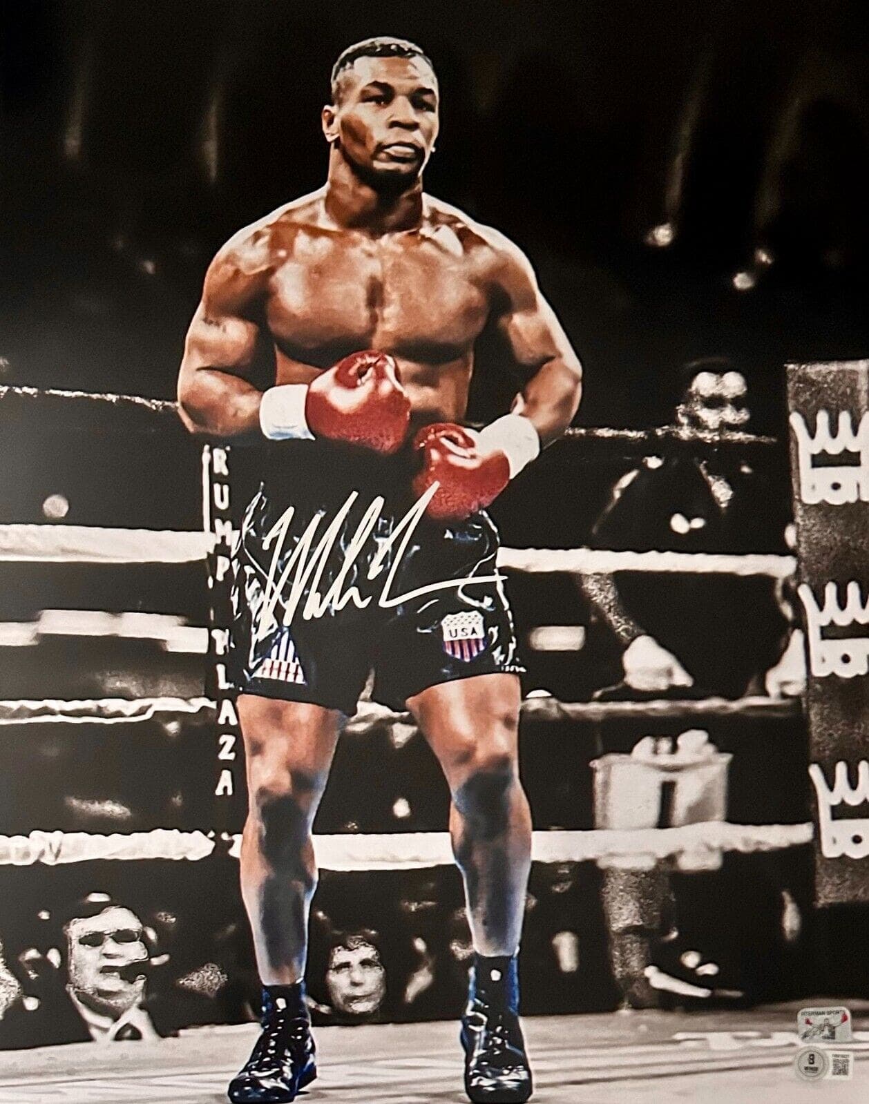 Photo 16x20-mike-tyson-16-20-hologram-authen, supplier stock photo