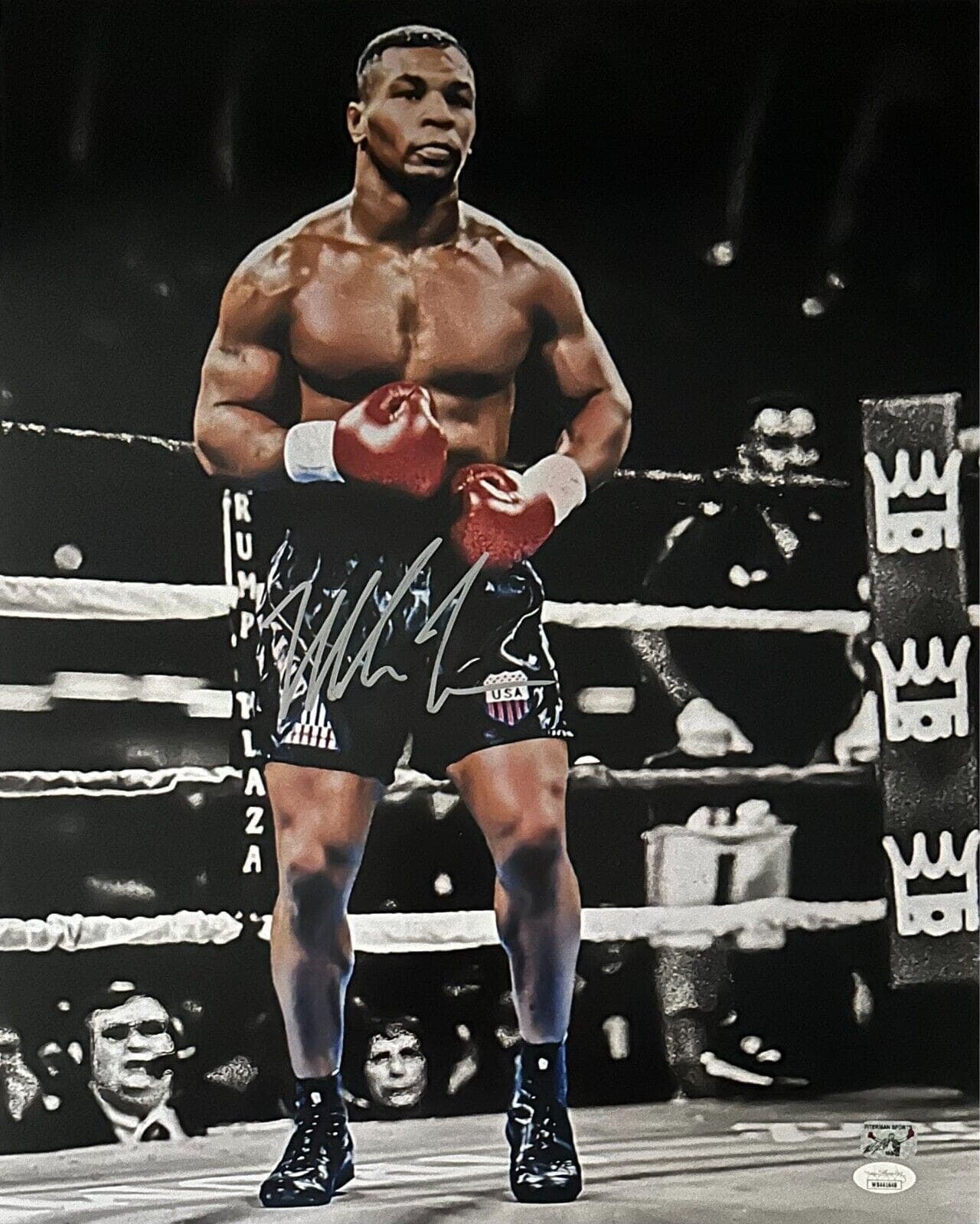 Photo 16x20-mike-tyson-16-20-edit, supplier stock photo