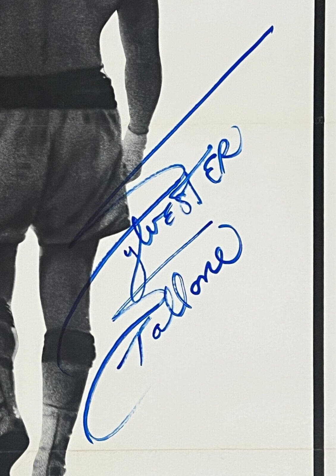 Sylvester Stallone Signed Rocky Original 21×47 Linen-Backed Poster BAS AC29821 Other 21x47-sylvester-stallone-rocky-original-21-47, view 2, supplier stock photo