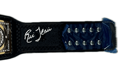 Ric Flair Signed Autographed WWE World Heavyweight Championship Replica Belt JSA Ric Flair Other wwe-world-heavyweight-championship-replica-belt, view 2, supplier stock photo