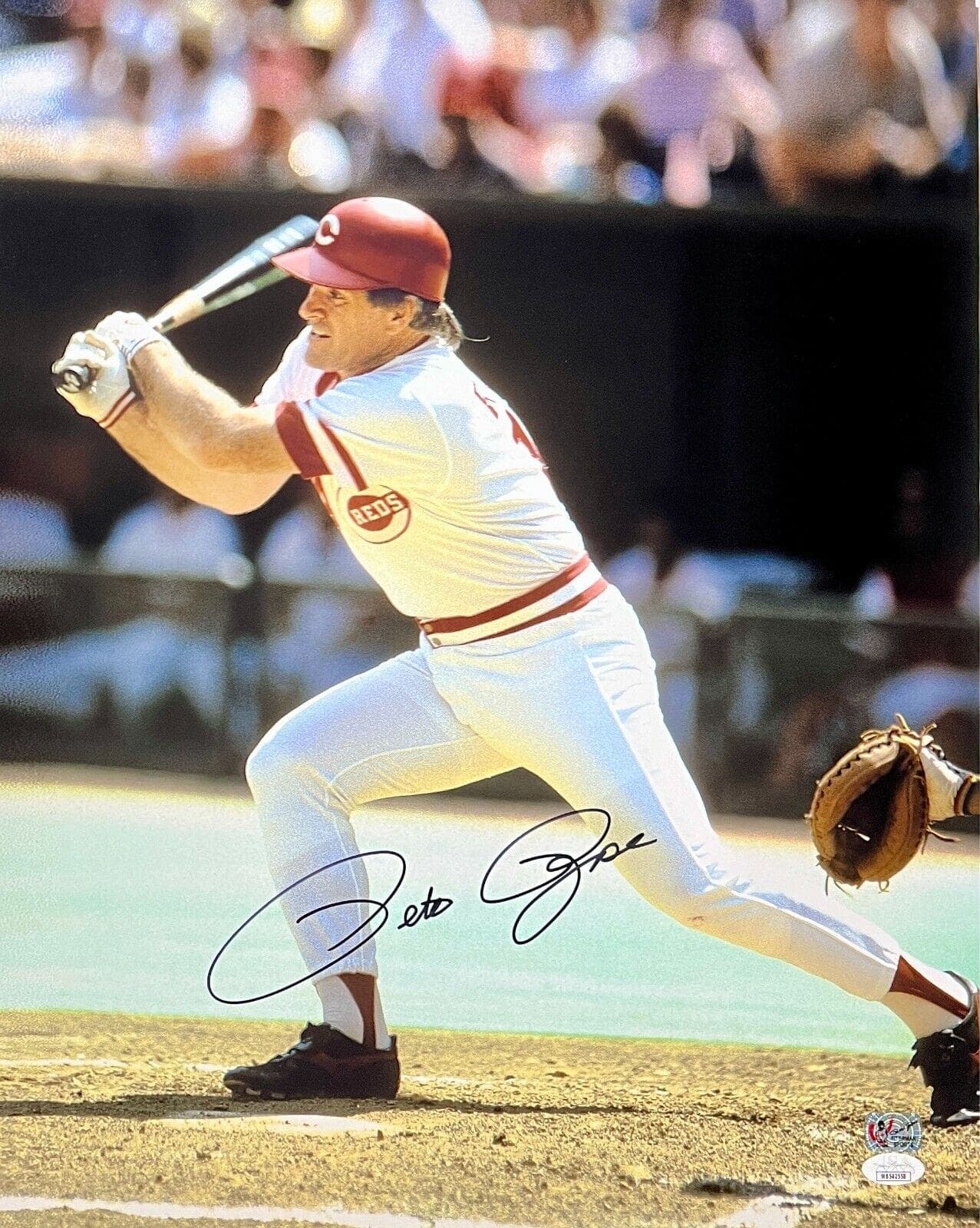 Pete Rose Signed Autographed 16×20 Photo JSA & Rose Exclusive Hologram Reds 12 Pete Rose Photo 16x20-16-20-hologram-12, Cincinnati Reds, supplier stock photo