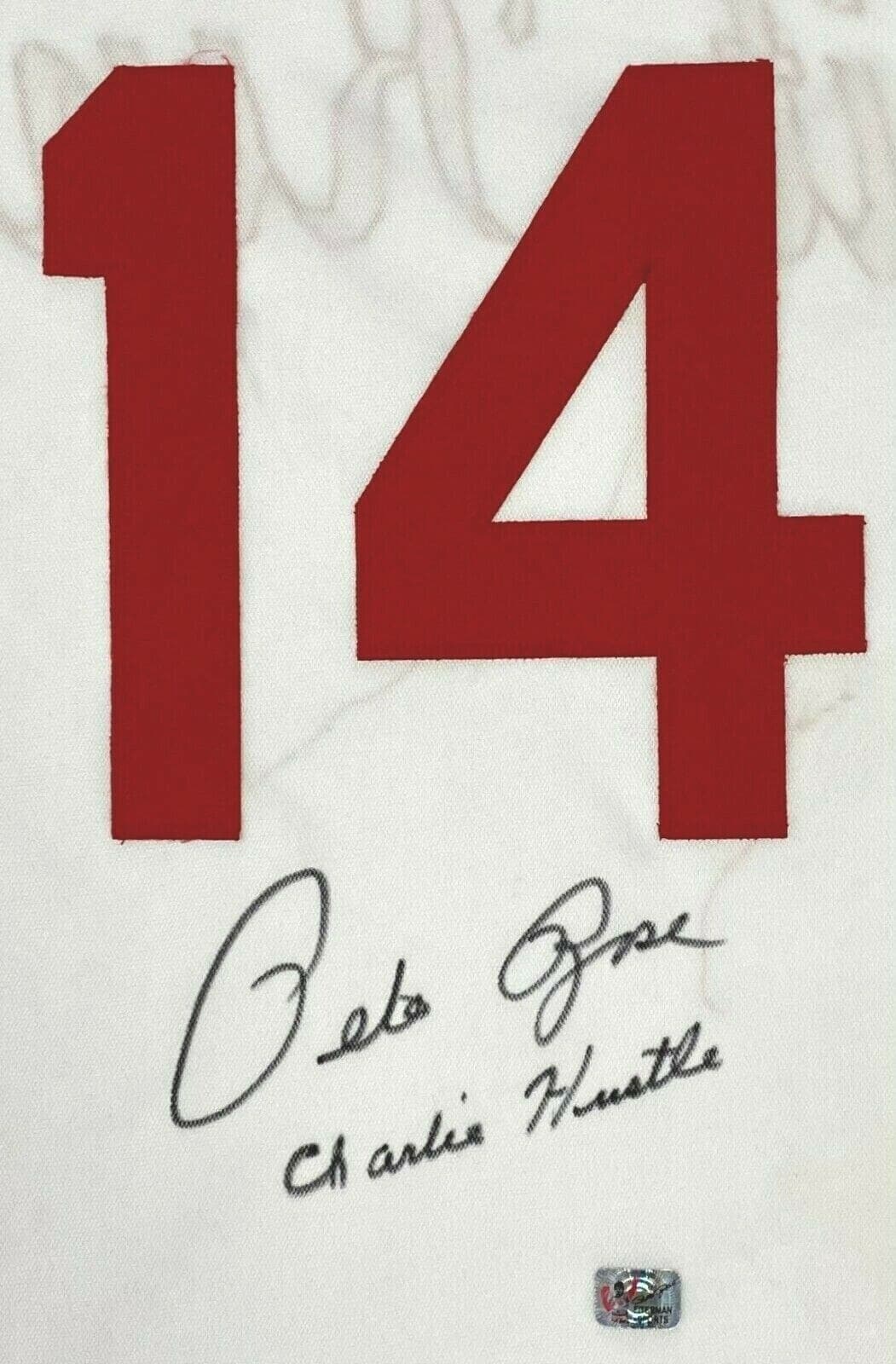 Pete Rose Signed White Jersey Pete Rose Exclusive Hologram Charlie Hustle 1 Pete Rose Jersey white-hologram-charlie-hustle-1, Cincinnati Reds, view 2, supplier stock photo