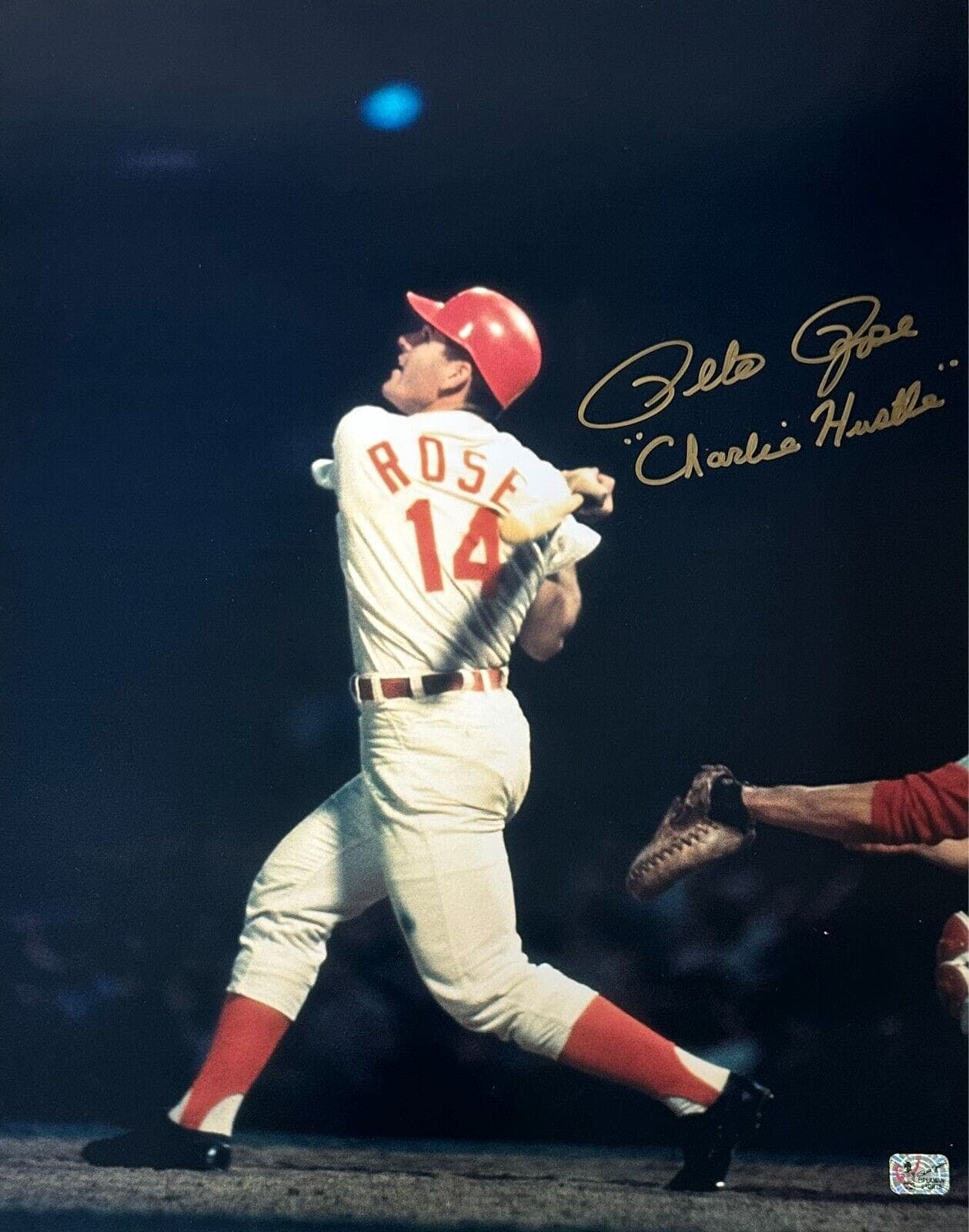 Pete Rose Signed 16×20 Photo Pete Rose Exclusive Hologram Charlie Hustle Pete Rose Photo 16x20-pete-rose-16-20-hologram-charlie, Cincinnati Reds, supplier stock photo