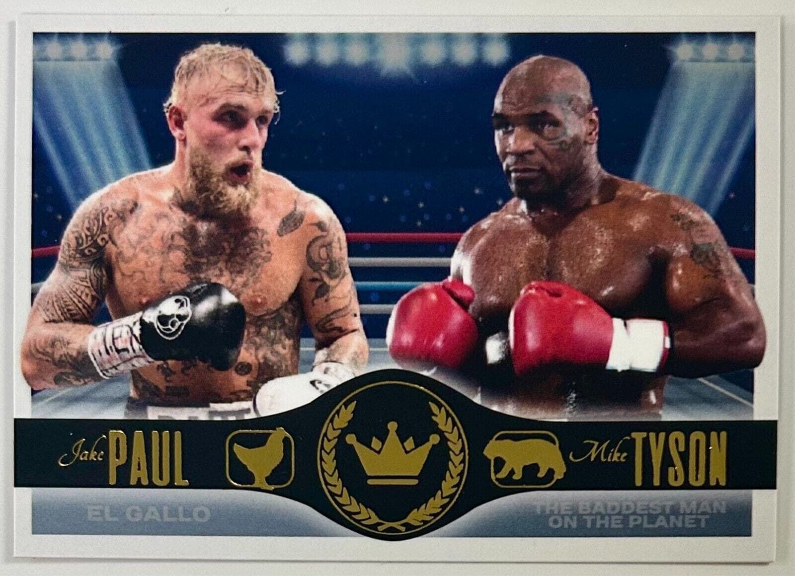 Mike Tyson vs Jake Paul Official Fight Program Mike Tyson Other mike-tyson-vs-jake-paul-fight, view 2, supplier stock photo