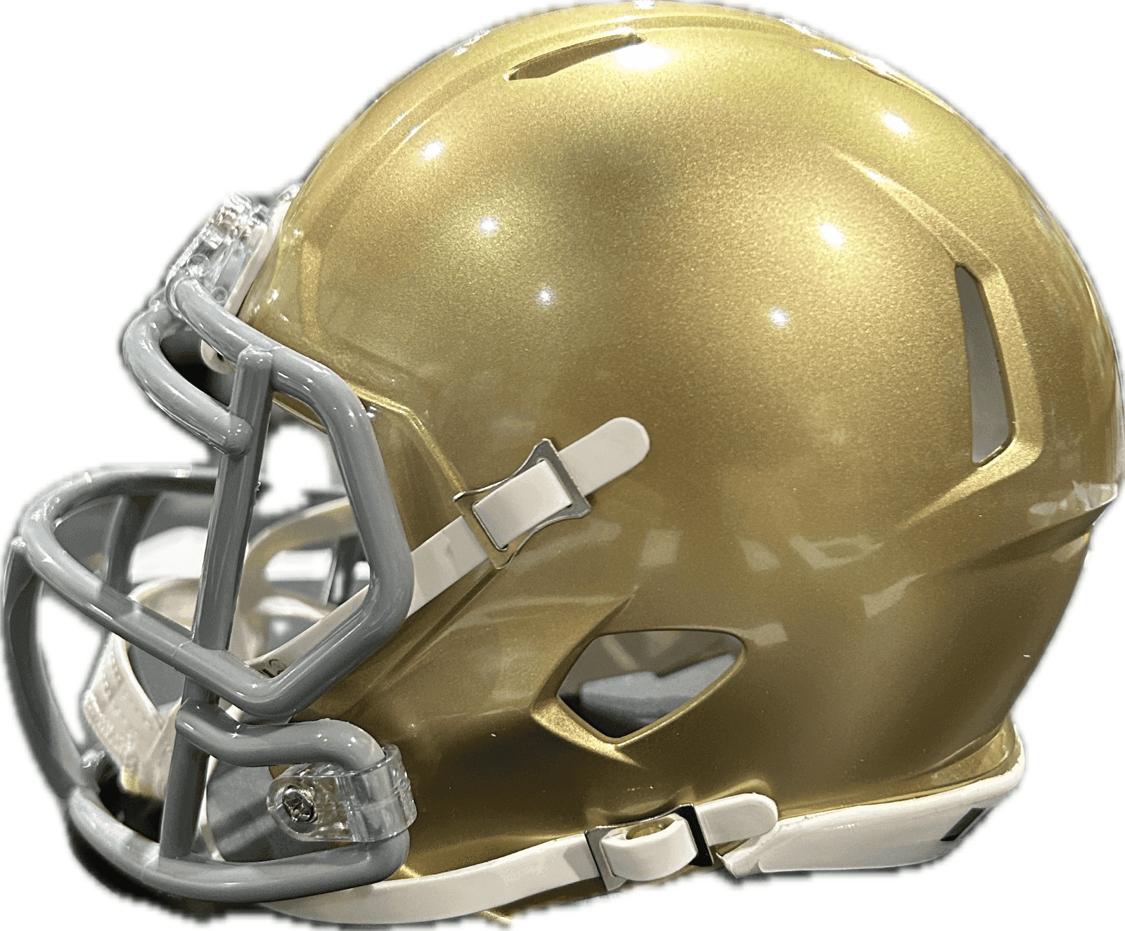 Rudy Ruettiger Signed Notre Dame Speed Mini Helmet JSA Authenticated Daniel "Rudy" Ruettiger Helmet rudy-ruettiger-speed-mini, Notre Dame Fighting Irish, view 4, supplier stock photo