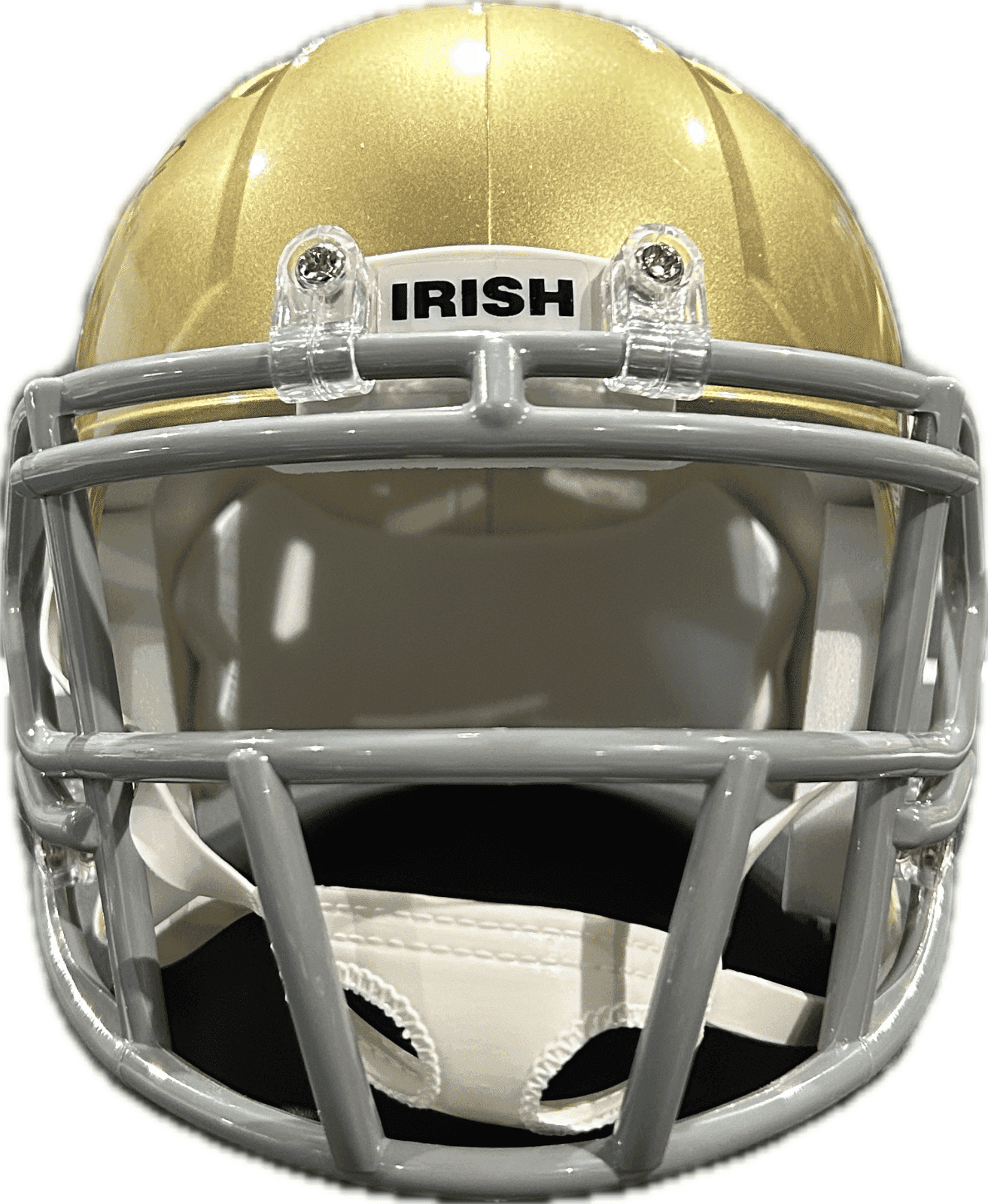 Rudy Ruettiger Signed Notre Dame Speed Mini Helmet JSA Authenticated Daniel "Rudy" Ruettiger Helmet rudy-ruettiger-speed-mini, Notre Dame Fighting Irish, view 2, supplier stock photo