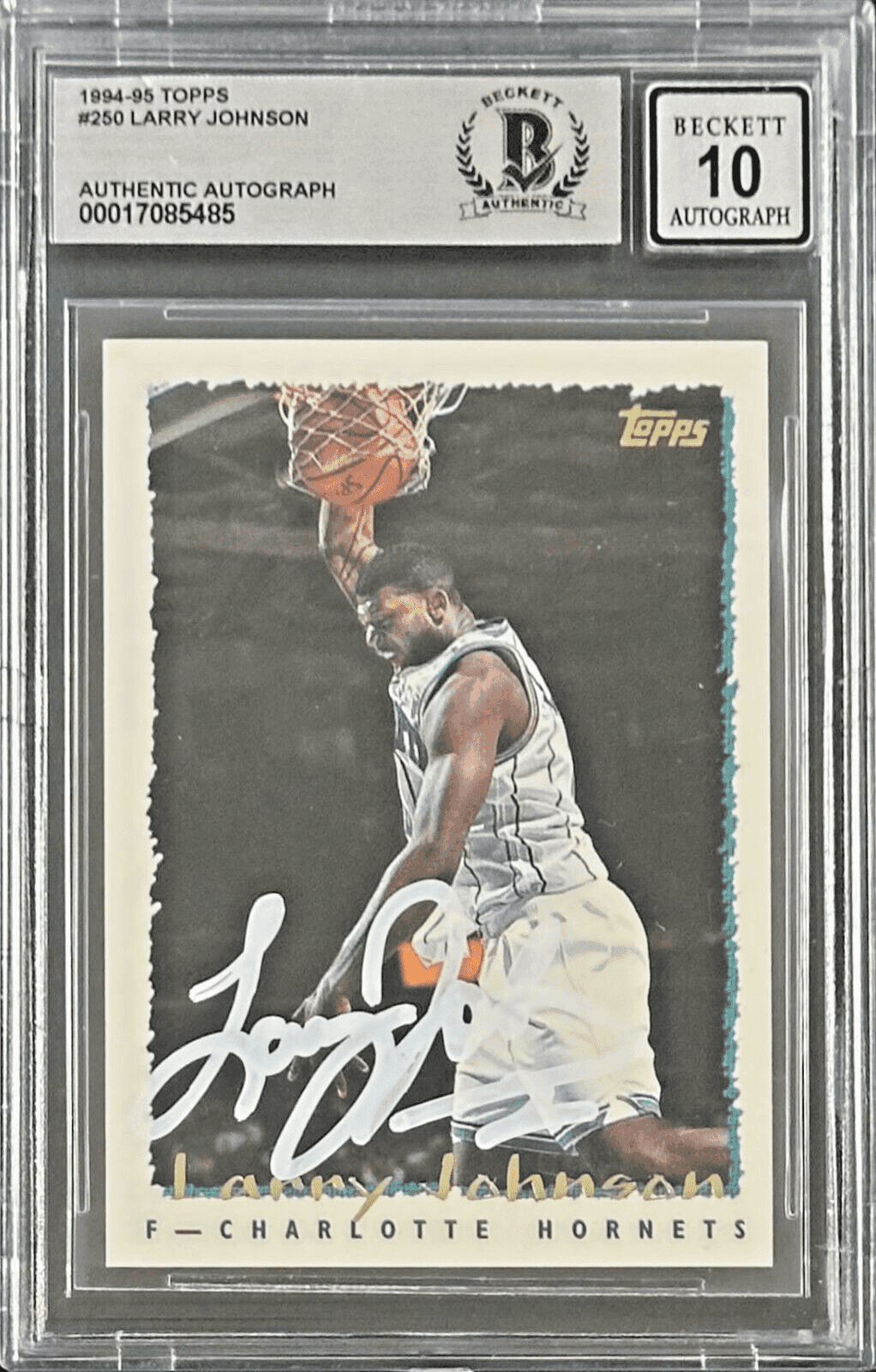 Larry Johnson 1994-95 Topps #250 Beckett Authentication Larry Johnson Card larry-johnson-1994-95-topps-250, Charlotte Hornets, supplier stock photo