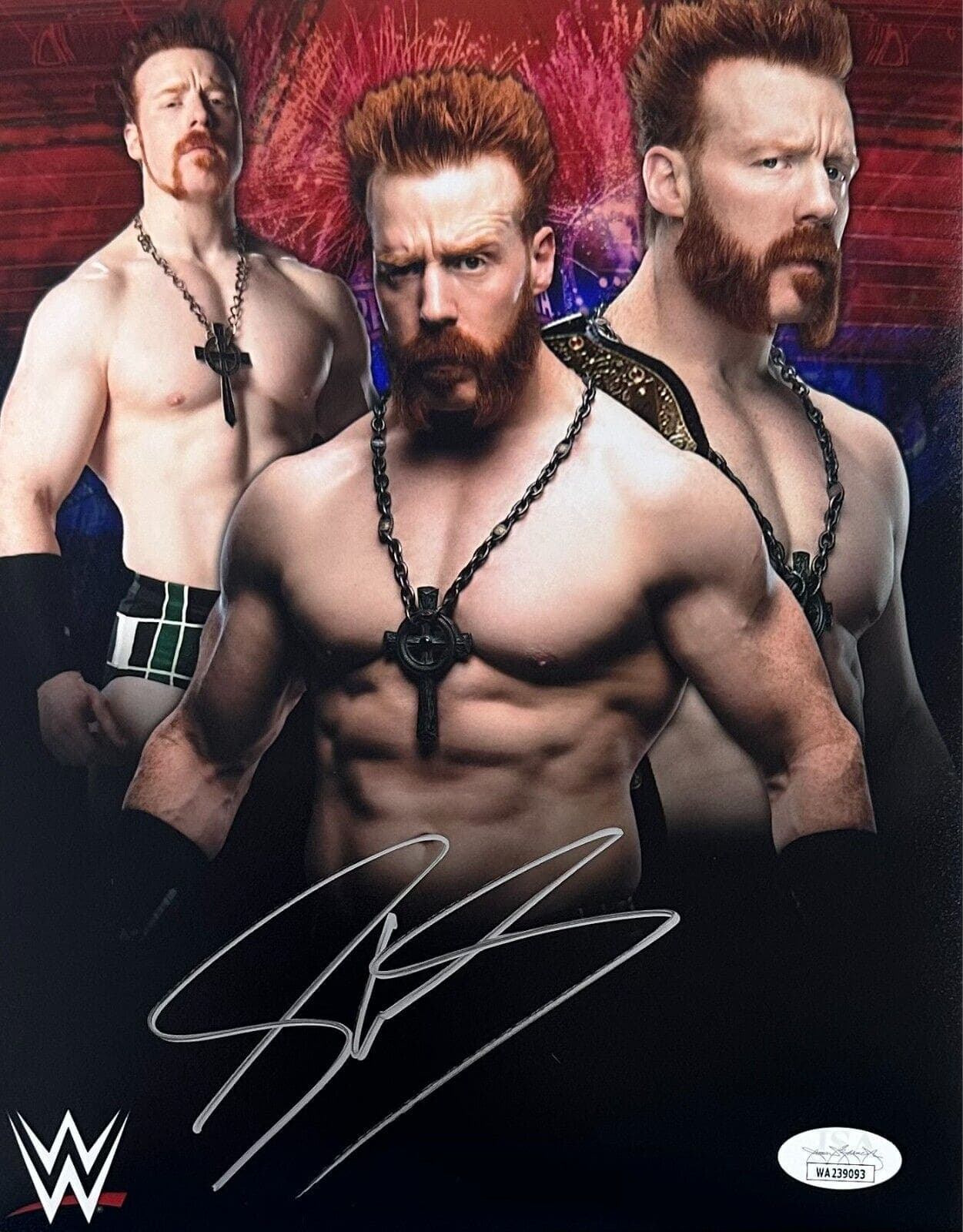 Sheamus Signed Autographed 8×10 Photo JSA Authenticated #8 Sheamus Photo 8x10-sheamus-8-10, supplier stock photo