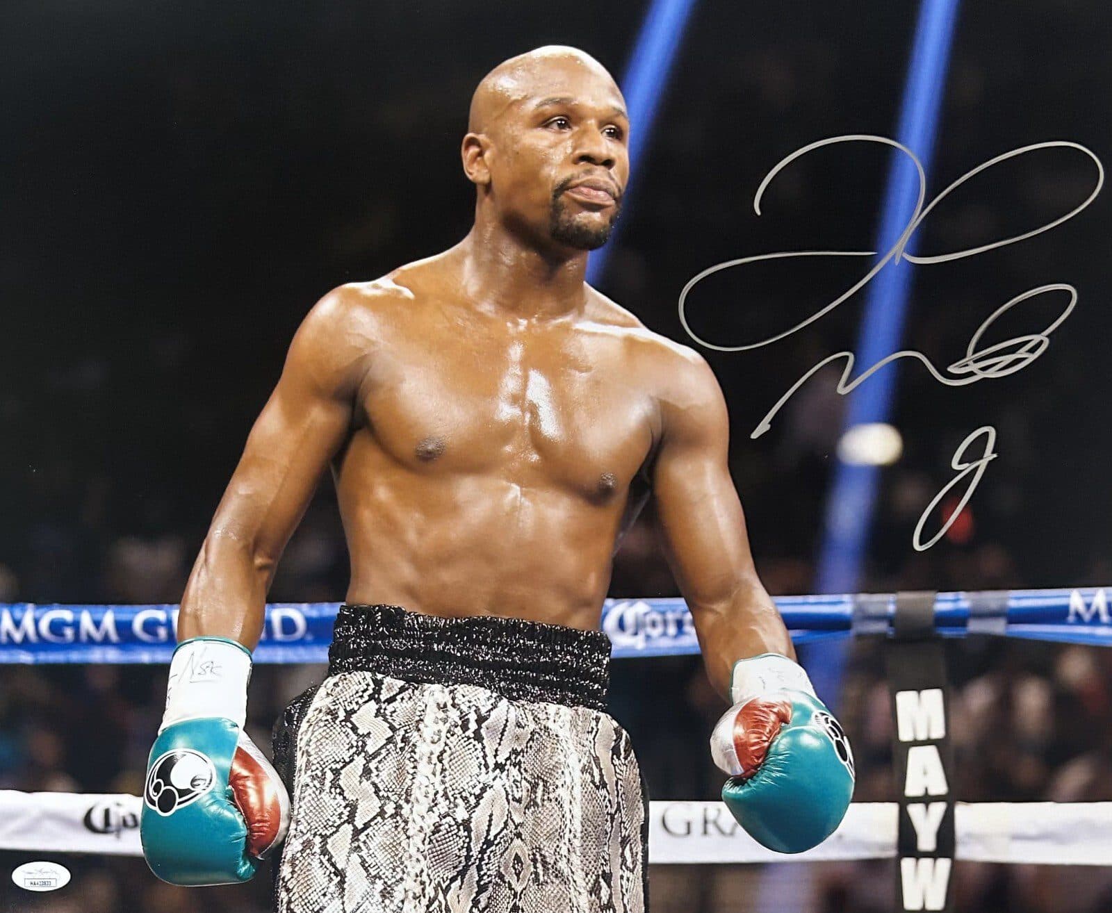 Floyd Mayweather Jr. Signed Autographed 16×20 Photo JSA Authenticated #4 Floyd Mayweather Jr. Photo 16x20-floyd-mayweather-jr-16-20-4, supplier stock photo