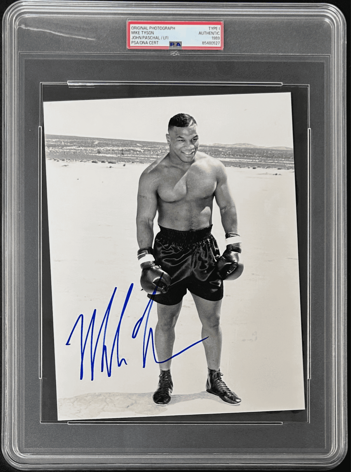 Mike Tyson Signed Original 1989 Type 1 Photograph PSA/DNA John Paschal Mike Tyson Photo mike-tyson-original-1989-type-1, supplier stock photo