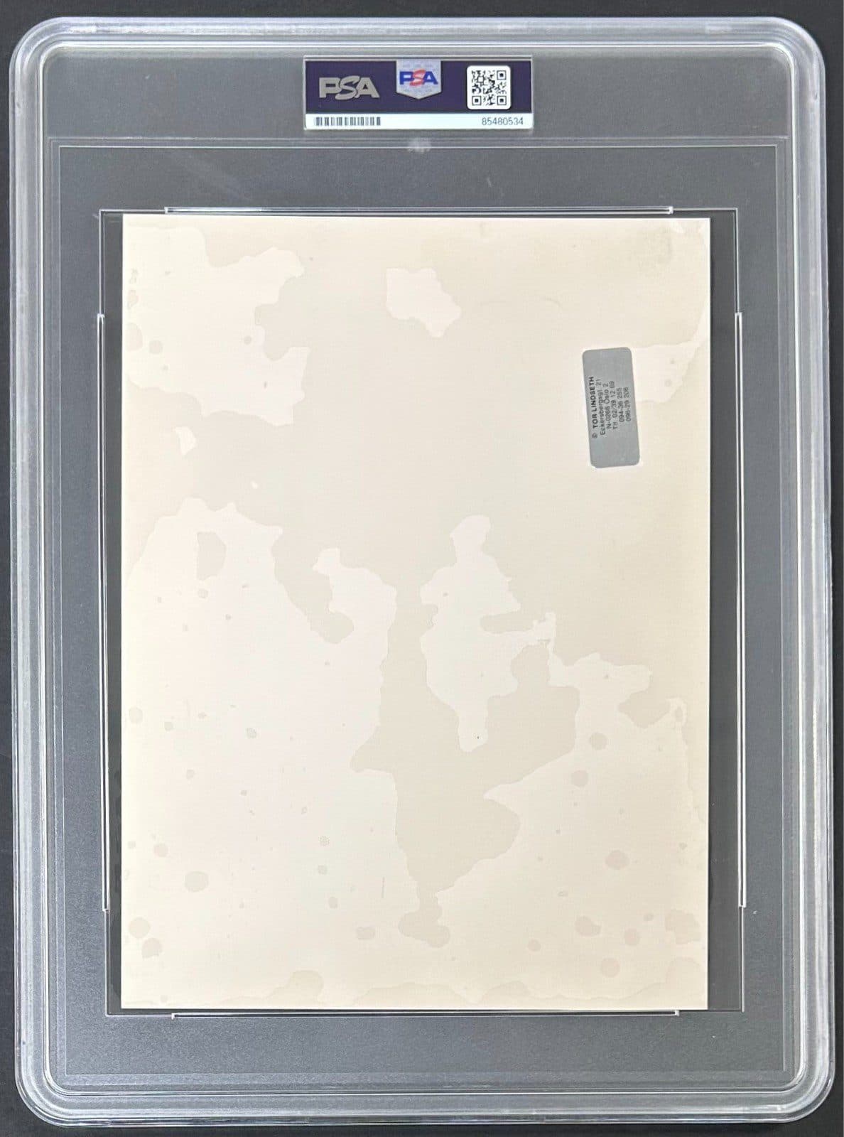 Mike Tyson Signed Original 1987 Type 1 Photograph PSA/DNA Tor Lindseth Mike Tyson Photo mike-tyson-original-1987-type-1, view 4, supplier stock photo