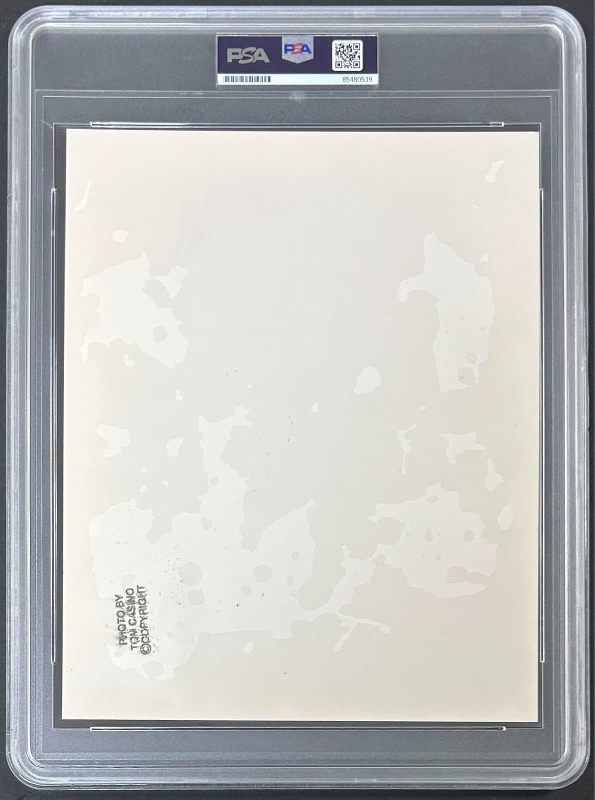 Mike Tyson Signed Original Circa 1980’s Type 1 Photograph PSA/DNA Tom Casino Mike Tyson Photo mike-tyson-original-circa-1980s-type, view 4, supplier stock photo