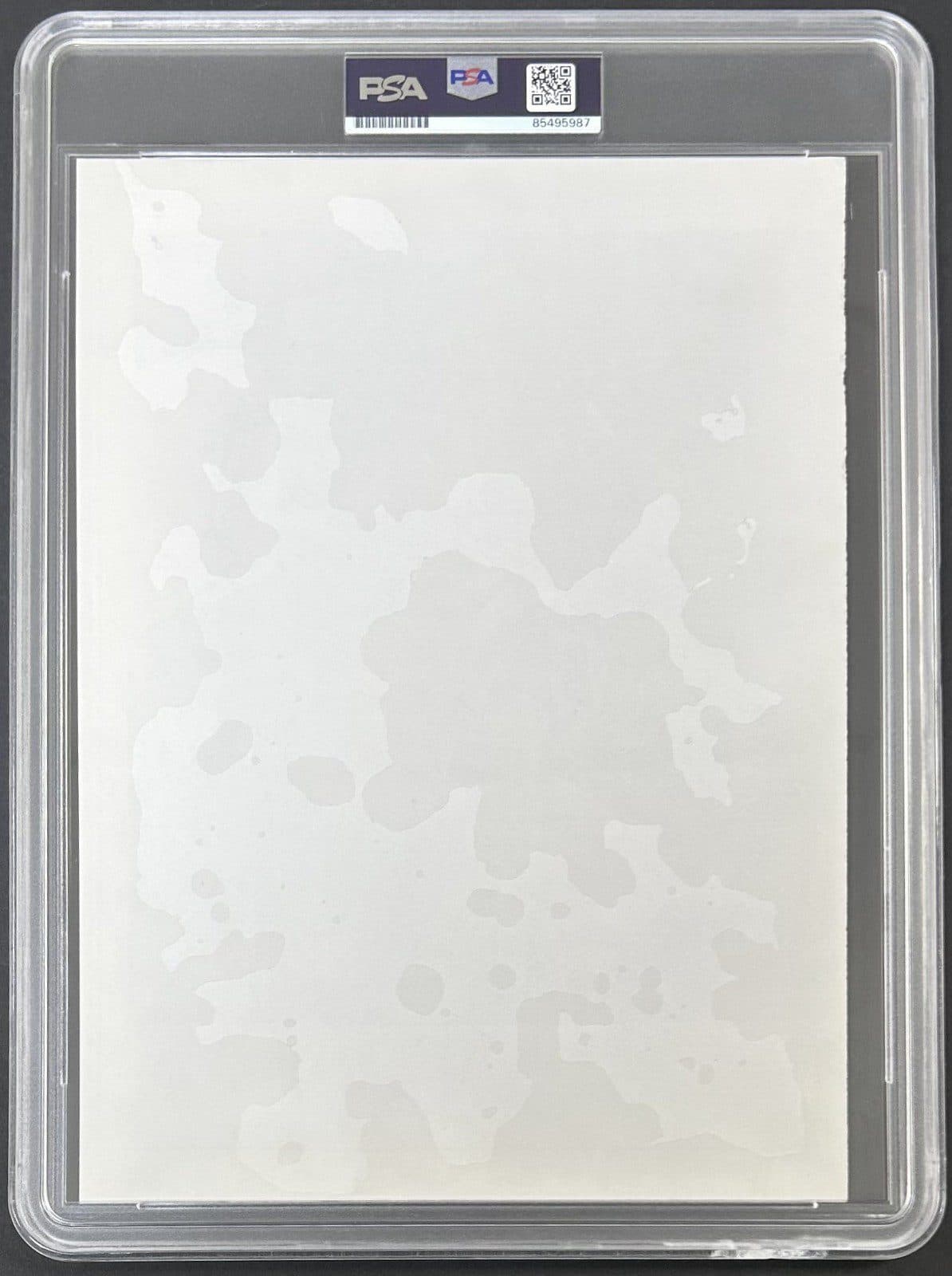 Mike Tyson Signed 1988 Type 3 Photograph PSA/DNA Tyson vs Larry Holmes Mike Tyson Photo mike-tyson-1988-type-3-photograph, view 4, supplier stock photo