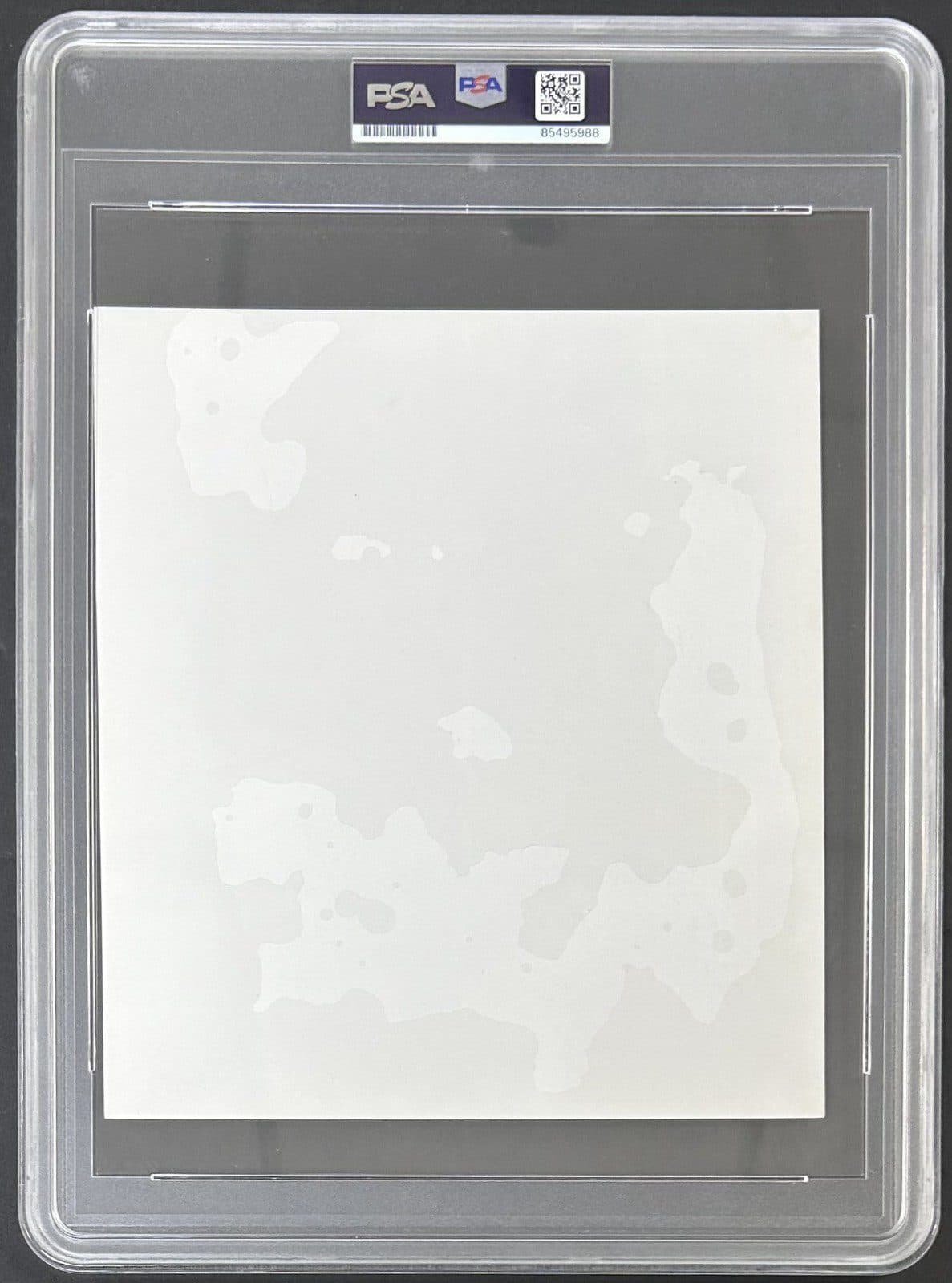 Mike Tyson Signed 1988 Type 3 Photograph PSA/DNA Tyson vs Jose Ribalta Mike Tyson Photo mike-tyson-1988-type-3-photograph, view 4, supplier stock photo