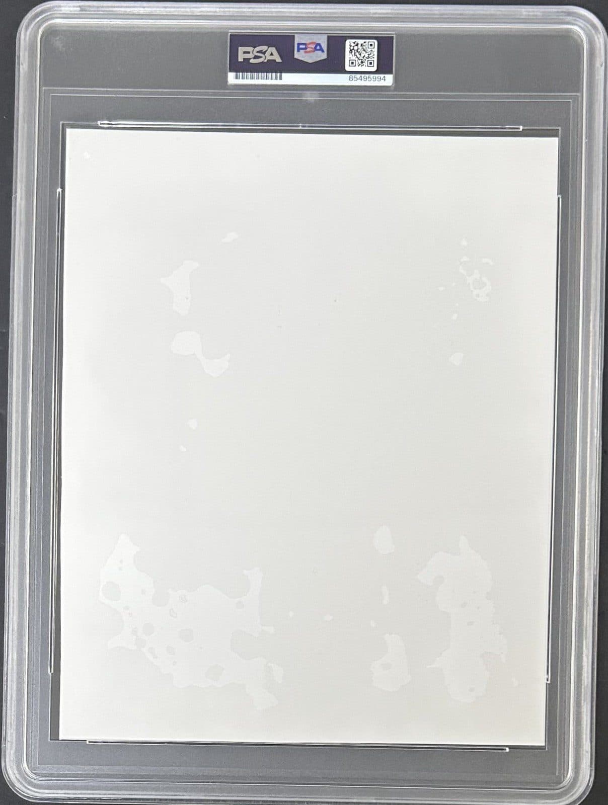 Mike Tyson Signed Type 1 Photograph PSA/DNA Tyson vs Tony Tucker Kevin Rooney Mike Tyson Photo mike-tyson-type-1-photograph-vs, view 4, supplier stock photo