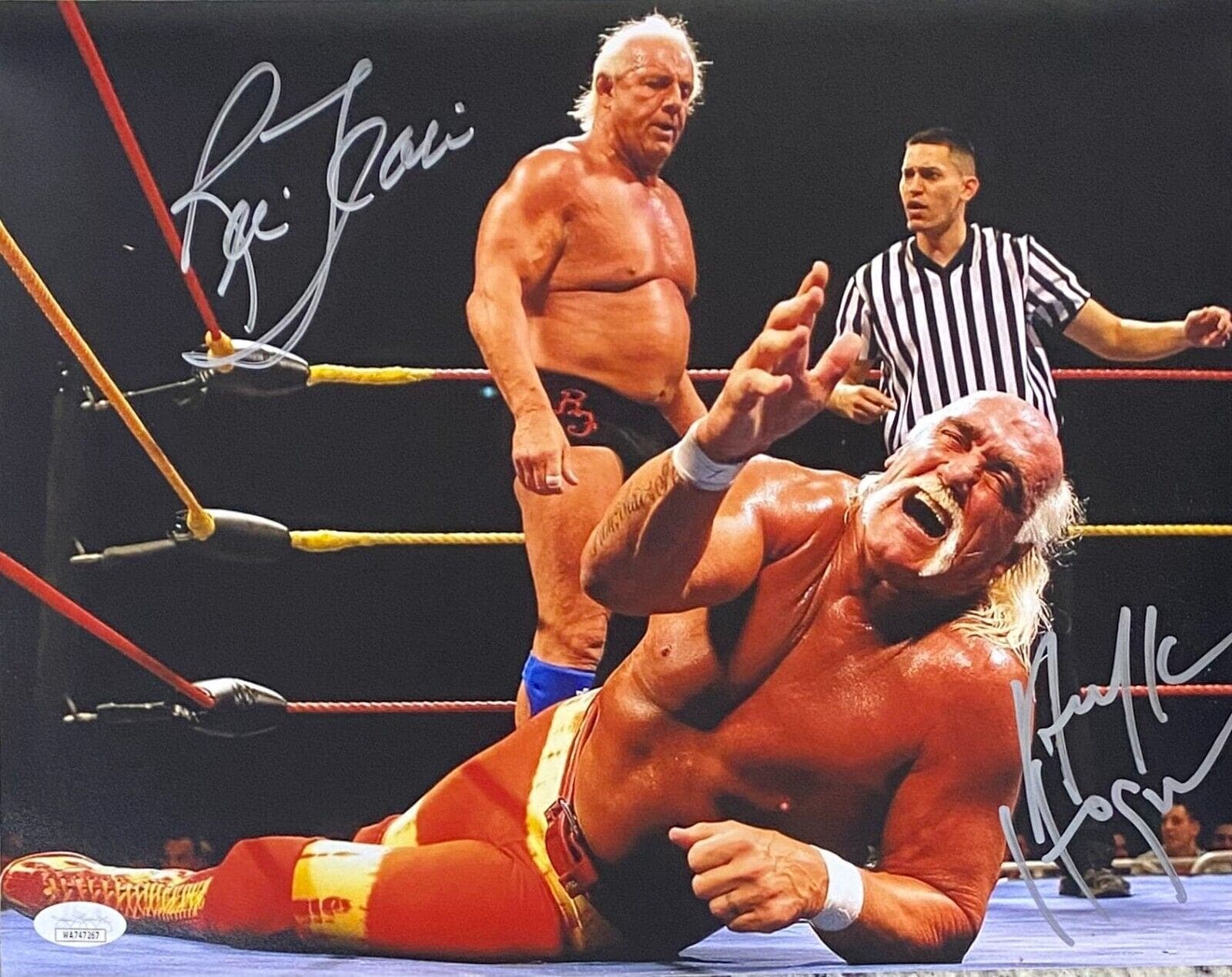 Hulk Hogan & Ric Flair Dual Signed Autographed 11×14 Photo JSA Authenticated 2 Hulk Hogan Photo 11x14-hulk-hogan-ric-flair-dual-11, supplier stock photo