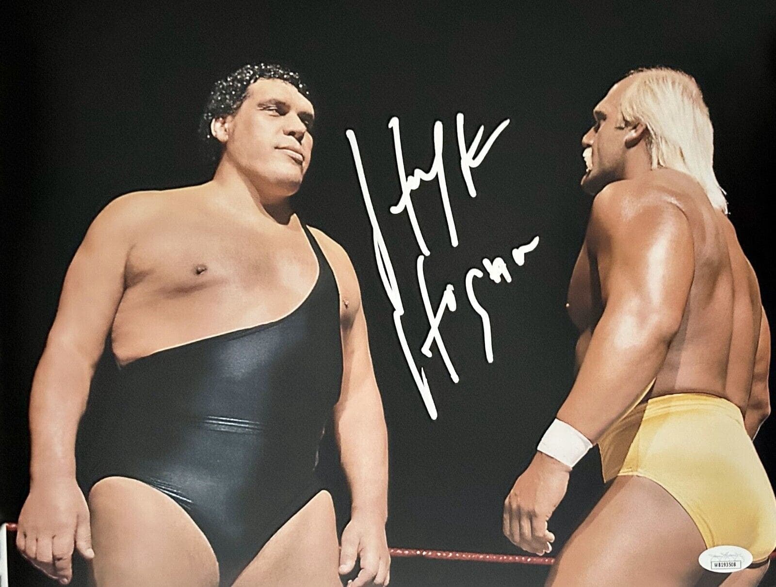 Hulk Hogan Signed Autographed Photo 11×14 JSA Authenticated #17 Hulk Hogan Photo 11x14-hulk-hogan-11-14-17, supplier stock photo